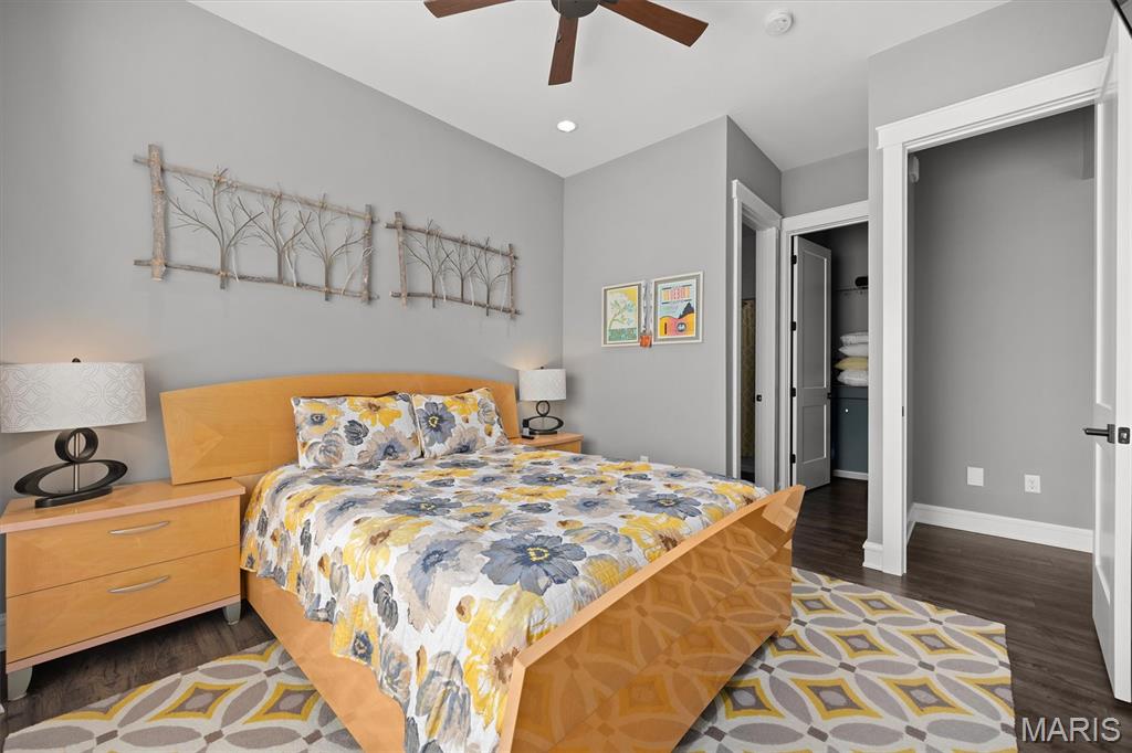 8625 Savoy Lane O'Fallon, IL 62269 - Photo 11 of 52