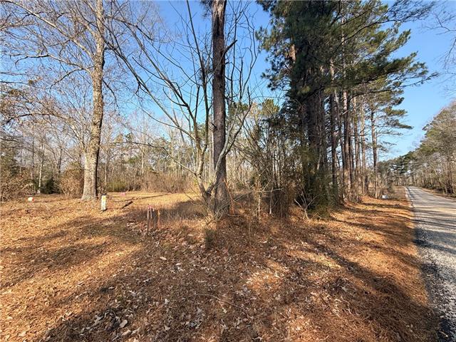 0 Fairfield Road Dry Prong, LA 71423 - Photo 1 of 6
