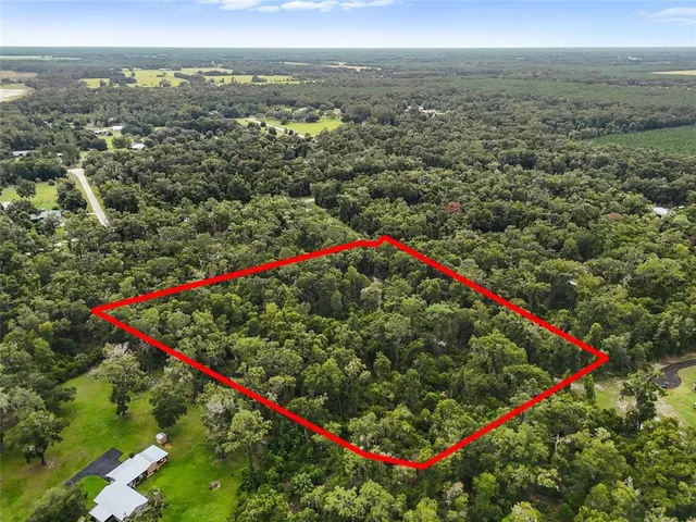 a view of a city with lots of trees