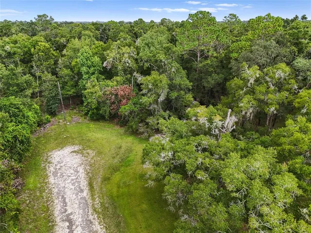a view of a garden with a building in the background