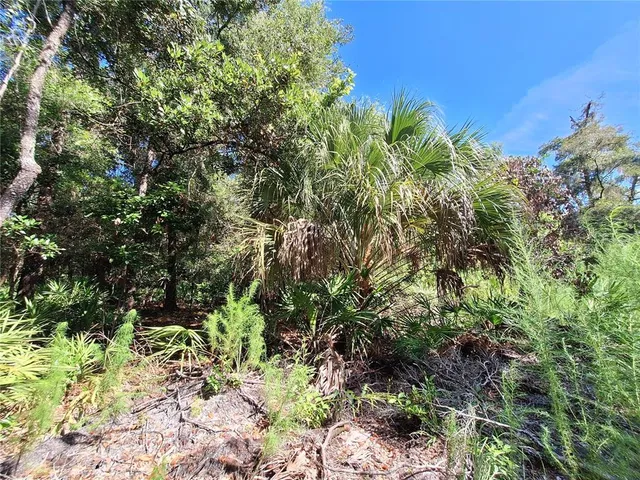 a backyard of a house with lots of trees