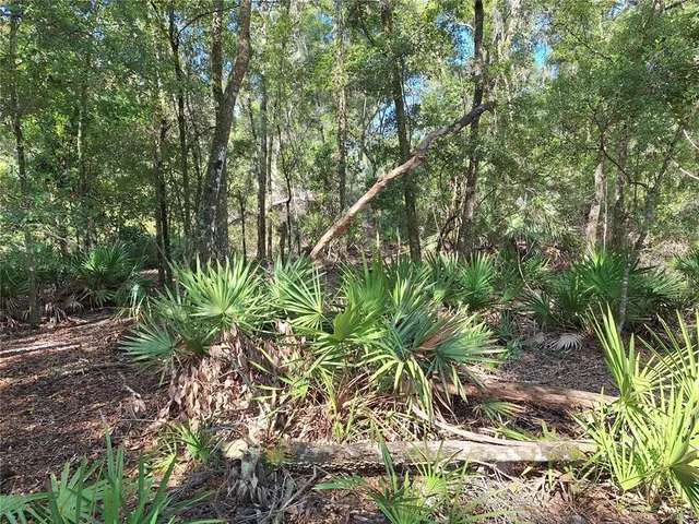 a view of a tennis court