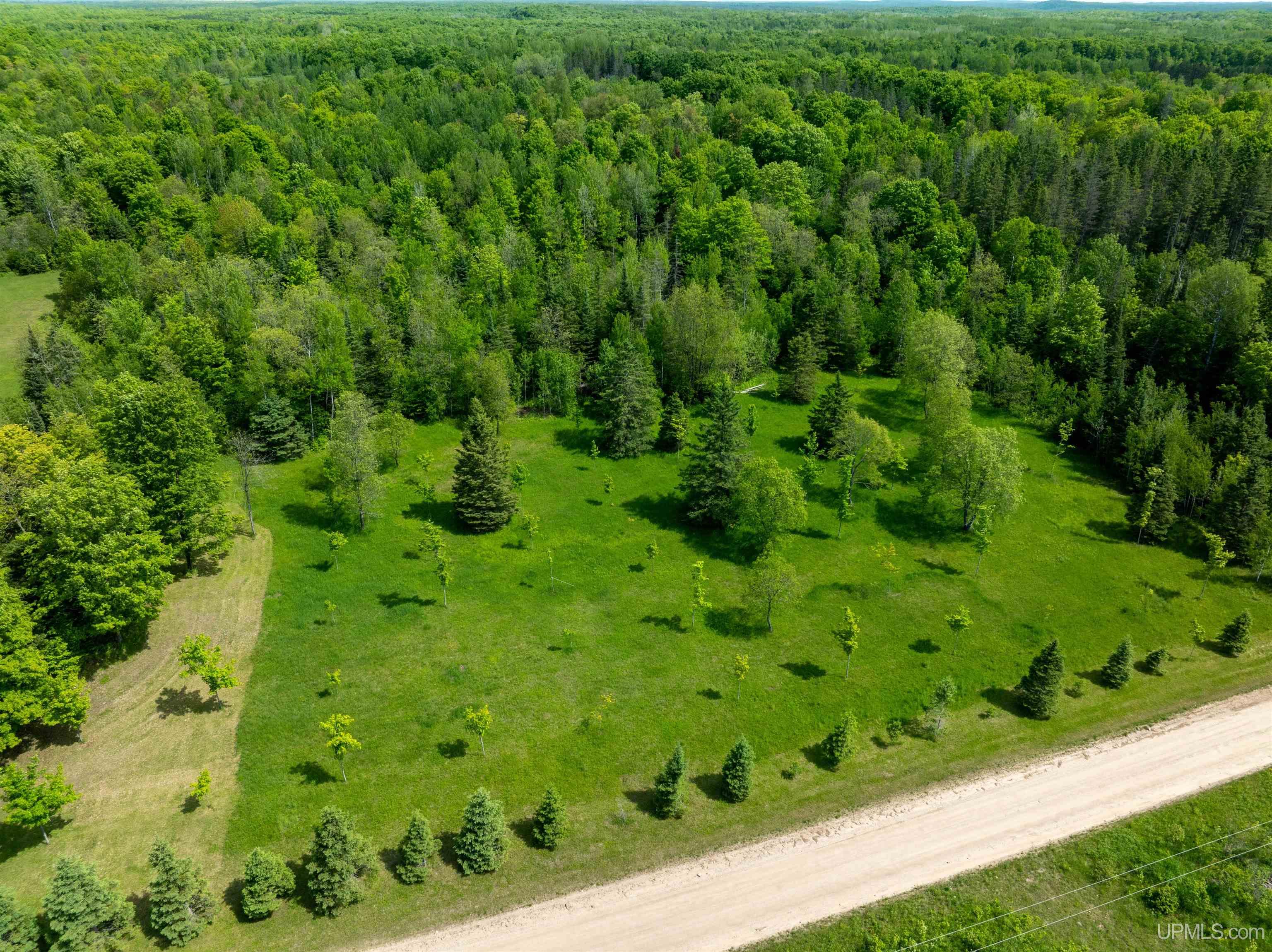 3956 26 Road Chatham, MI 49816 - Photo 39 of 41