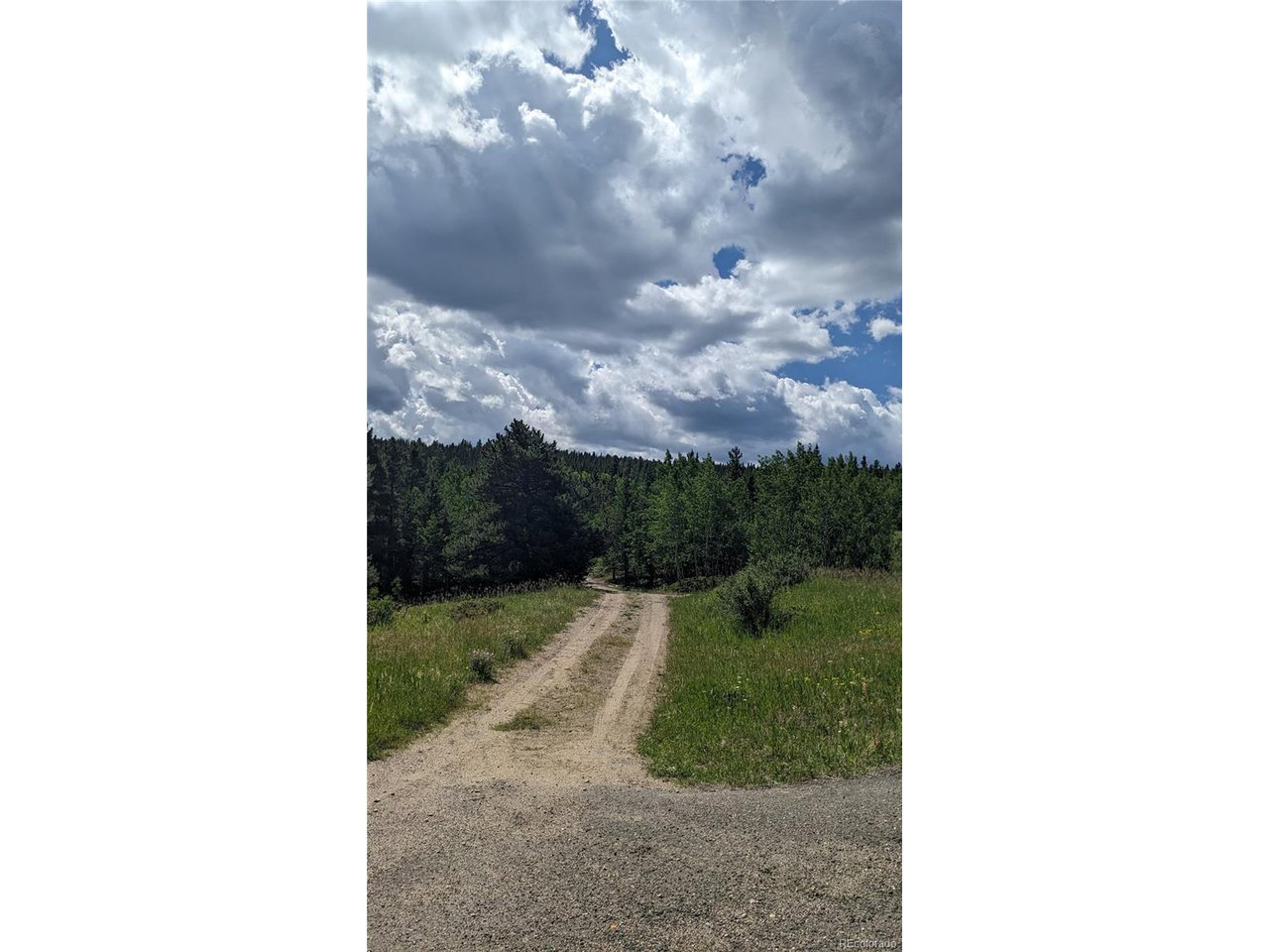 Roy Smith Road Central City, CO 80427 - Photo 18 of 18 a view of a yard