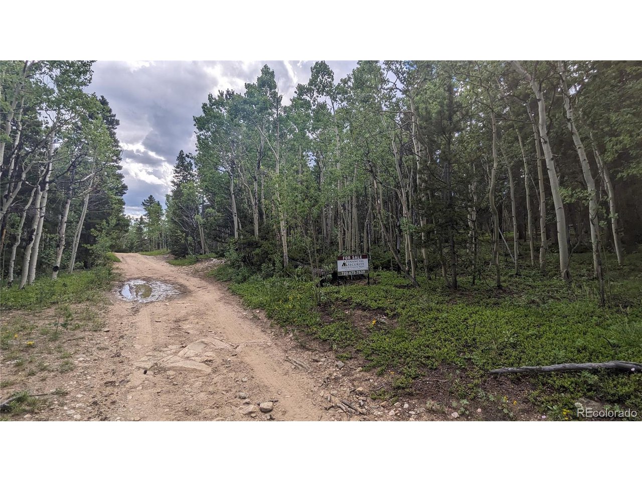Roy Smith Road Central City, CO 80427 - Photo 6 of 18 a open area with trees in the background