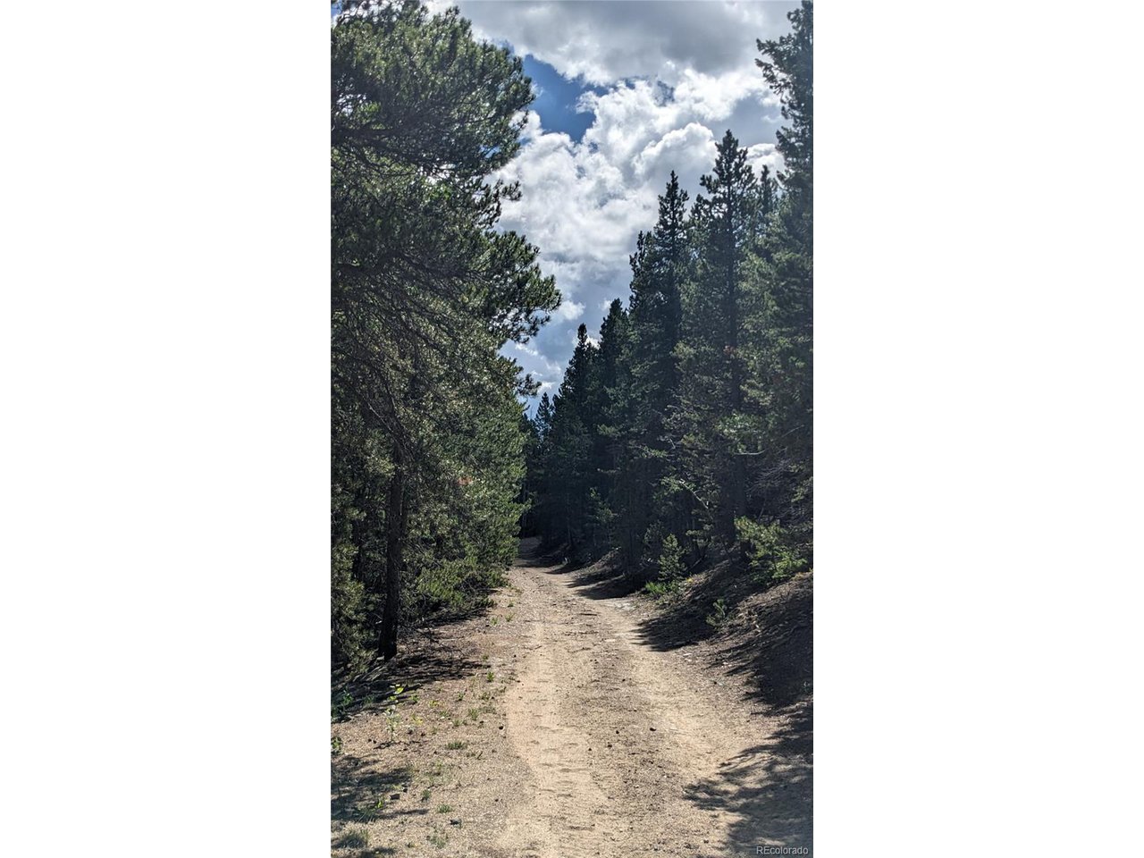Roy Smith Road Central City, CO 80427 - Photo 8 of 18 a bathroom with a sink