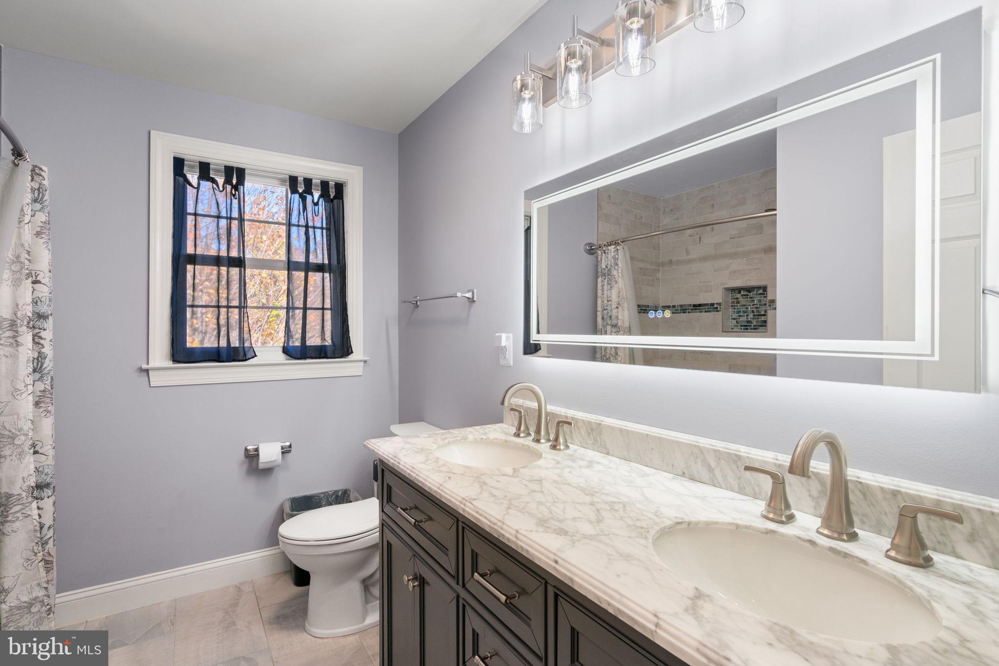 2182 Towles Road Midland, VA 22728 - Photo 32 of 50 a bathroom with a granite countertop toilet sink and mirror