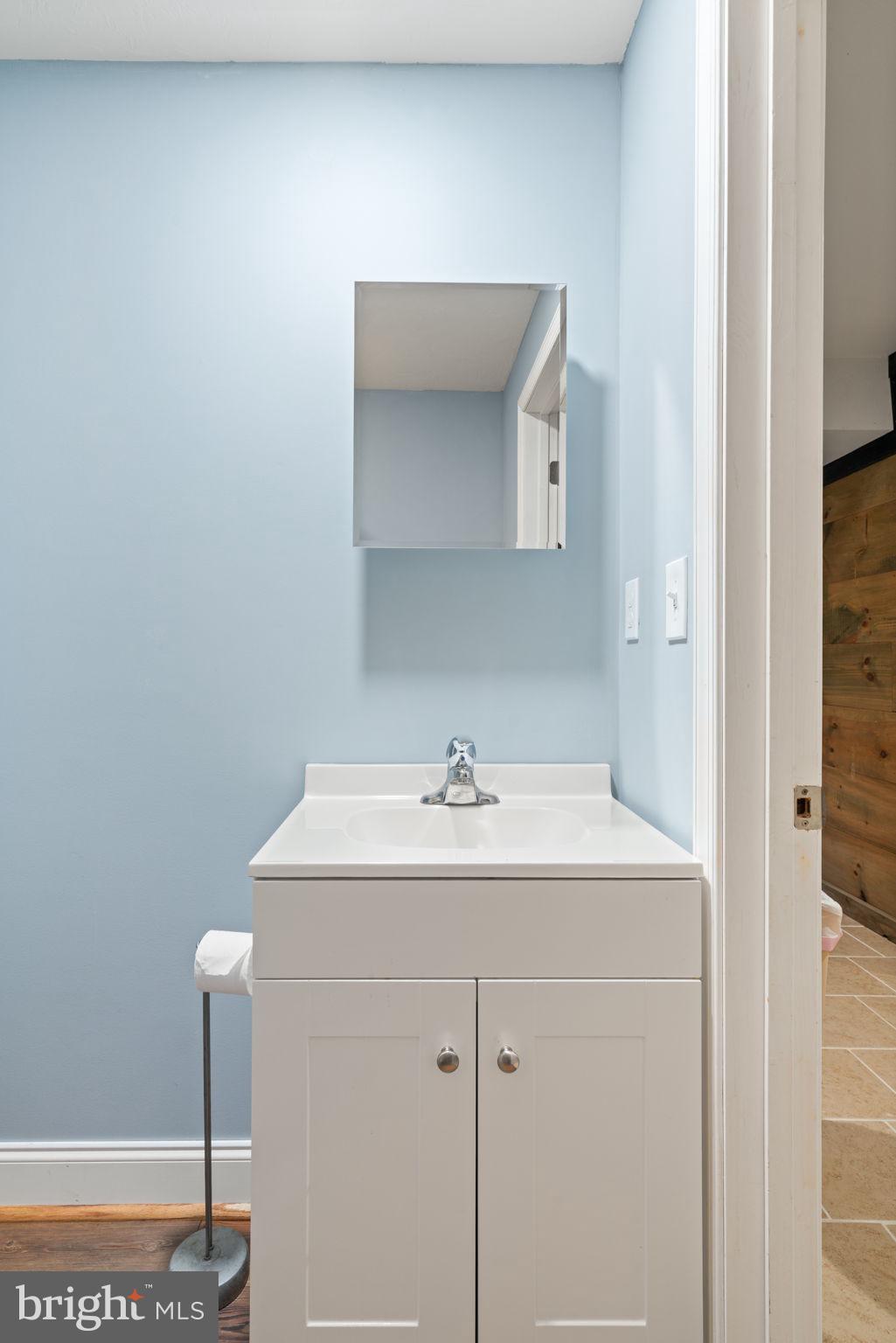 2182 Towles Road Midland, VA 22728 - Photo 43 of 50 a bathroom with a sink and a mirror
