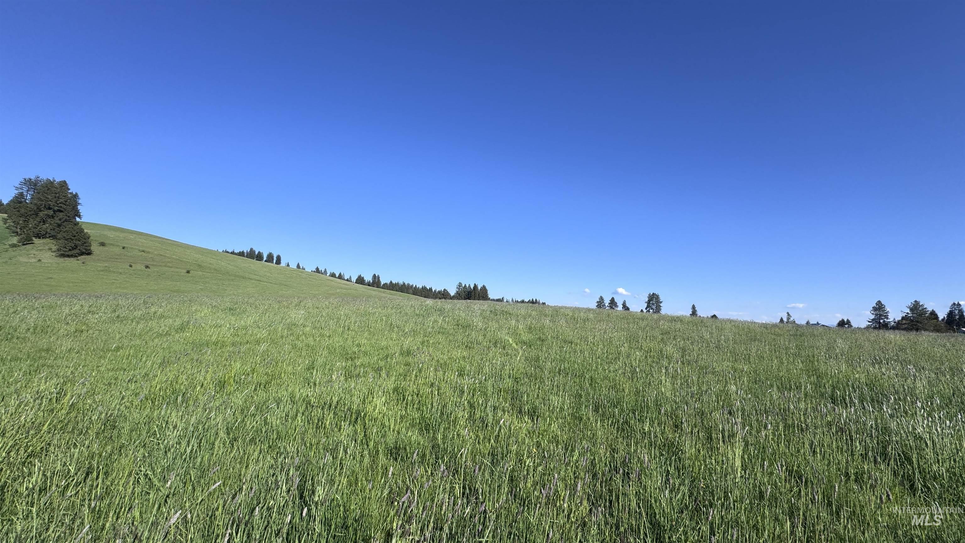 Tbd Harrisburg Road Kamiah, ID 83536 - Photo 47 of 50