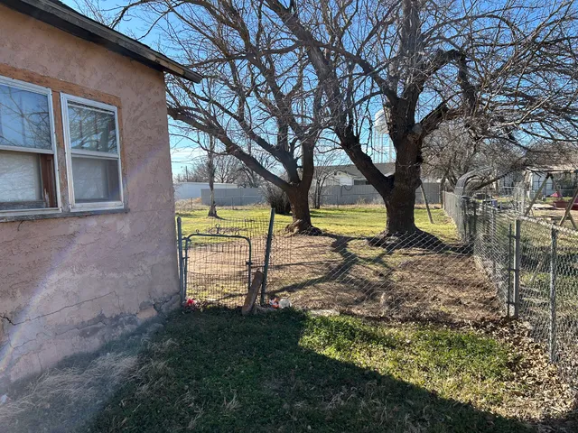 a view of a yard with plants and a tree