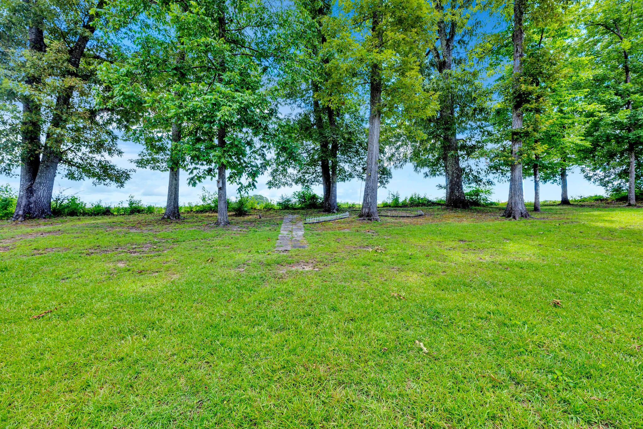 3803 Turkey Run Jasper, AL 35504 - Photo 5 of 22 Gallery Image 5