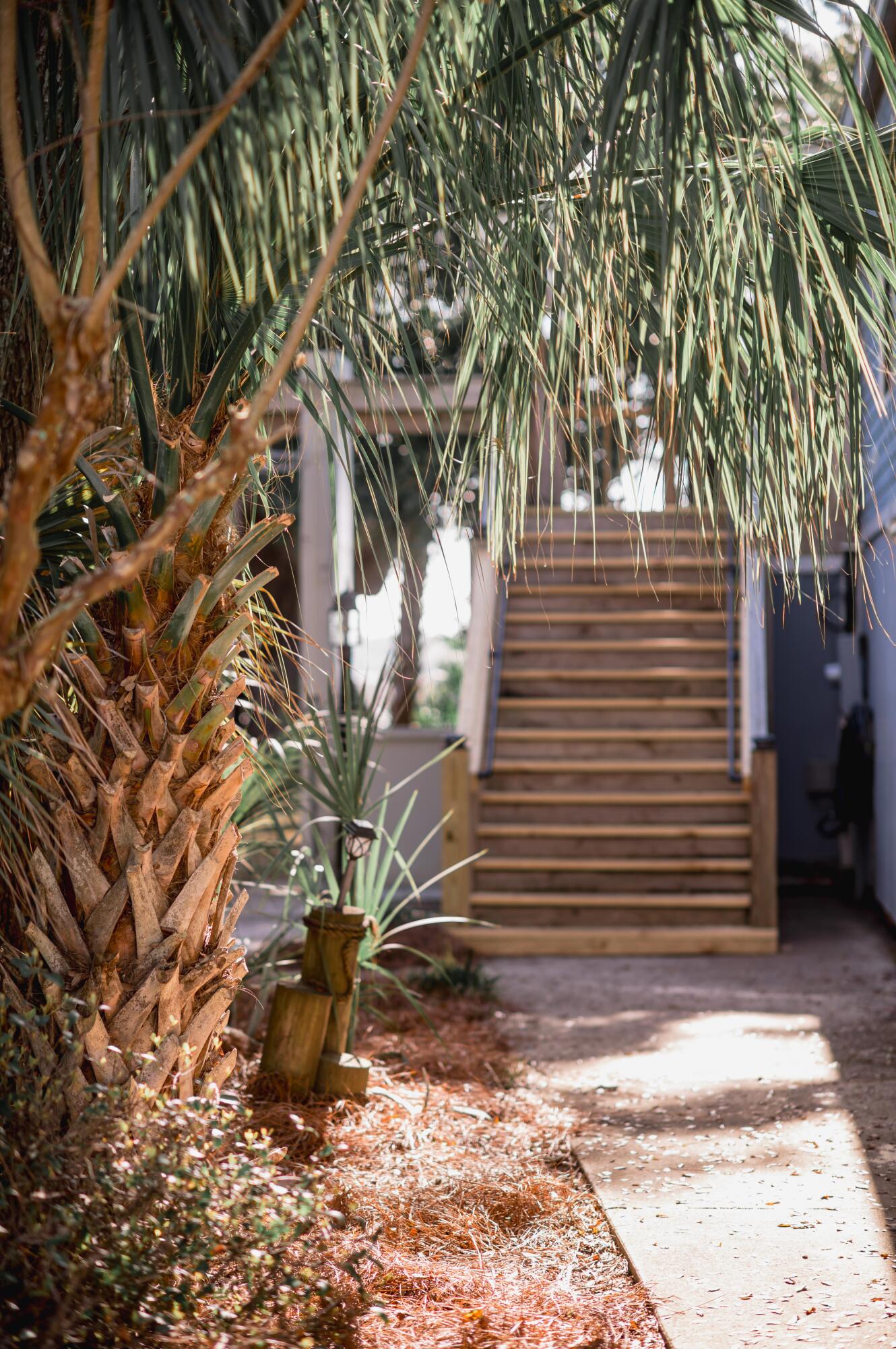 1599 Terns Nest Road Charleston, SC 29412 - Photo 4 of 64 New Staircase!