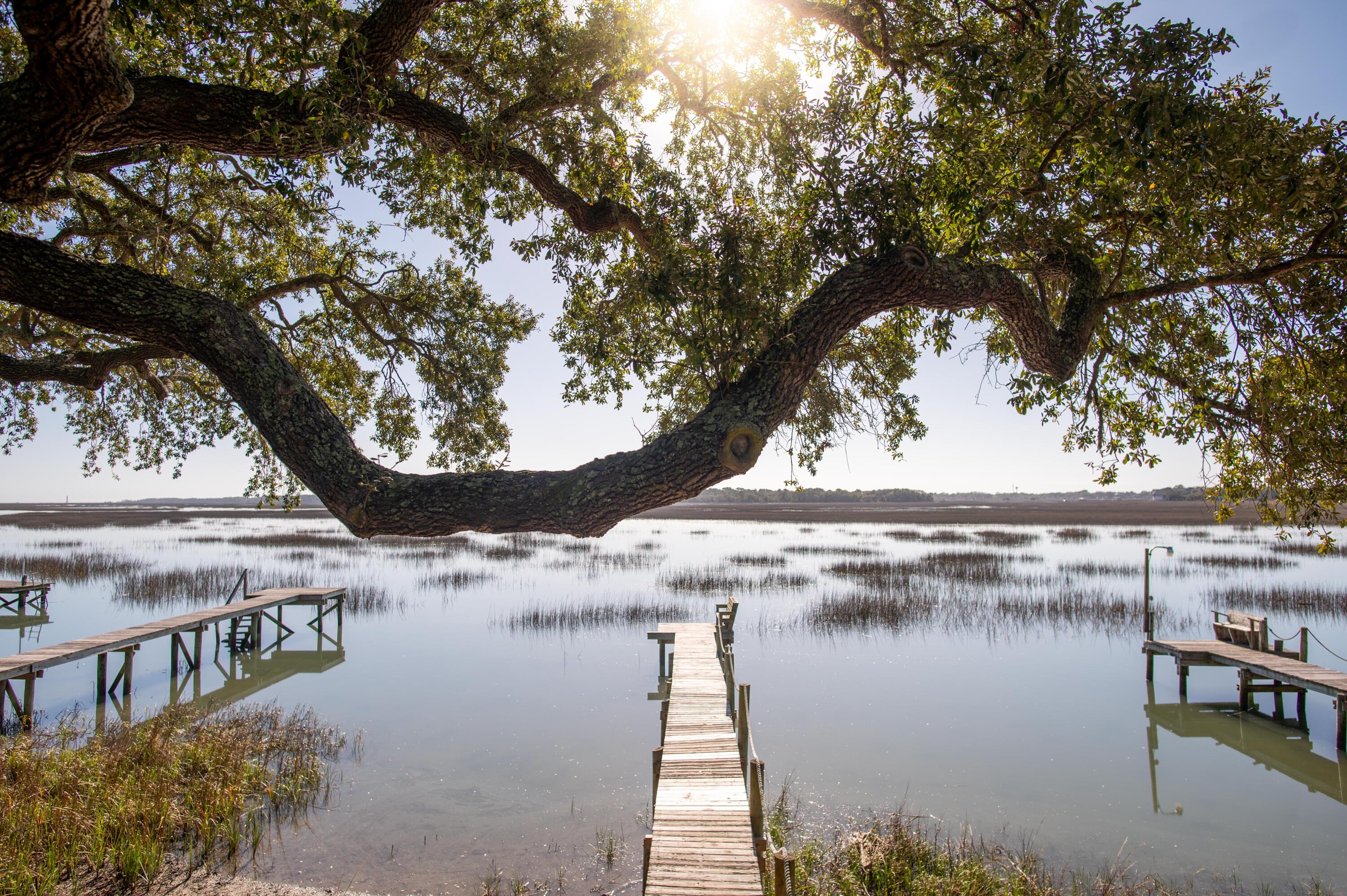 1599 Terns Nest Road Charleston, SC 29412 - Photo 5 of 64 Mossy oak framed vista