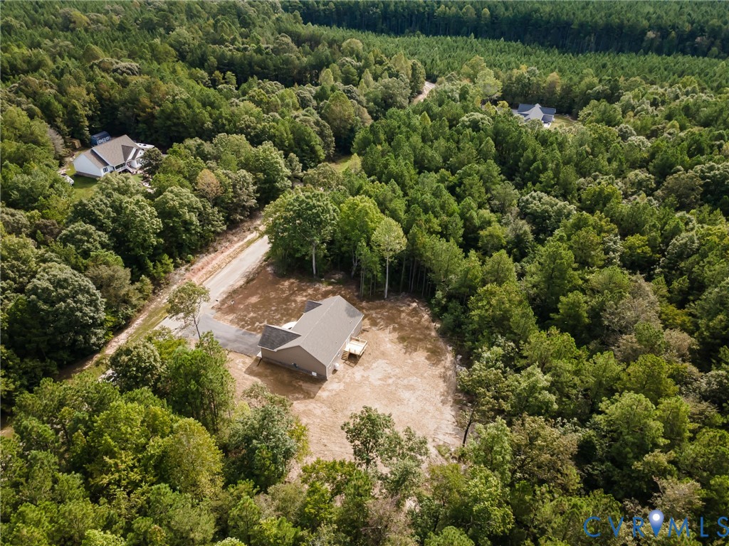 1900 Moody Fox Lane Carson, VA 23830 - Photo 33 of 38 a view of a forest with a tree