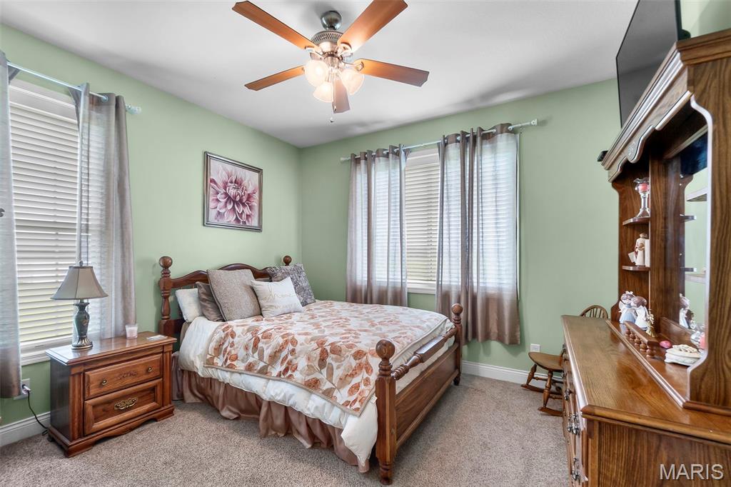 243 North Ridge Road Sikeston, MO 63801 - Photo 22 of 50