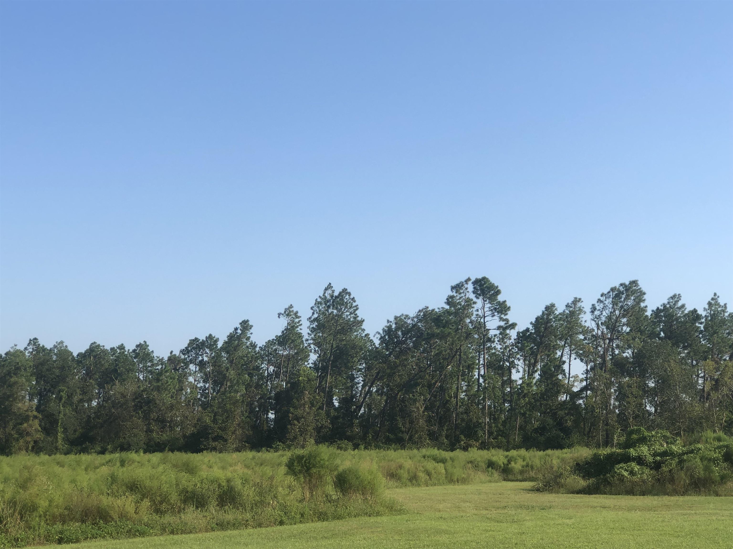 95 County Road Elberta, AL 36530 - Photo 6 of 6