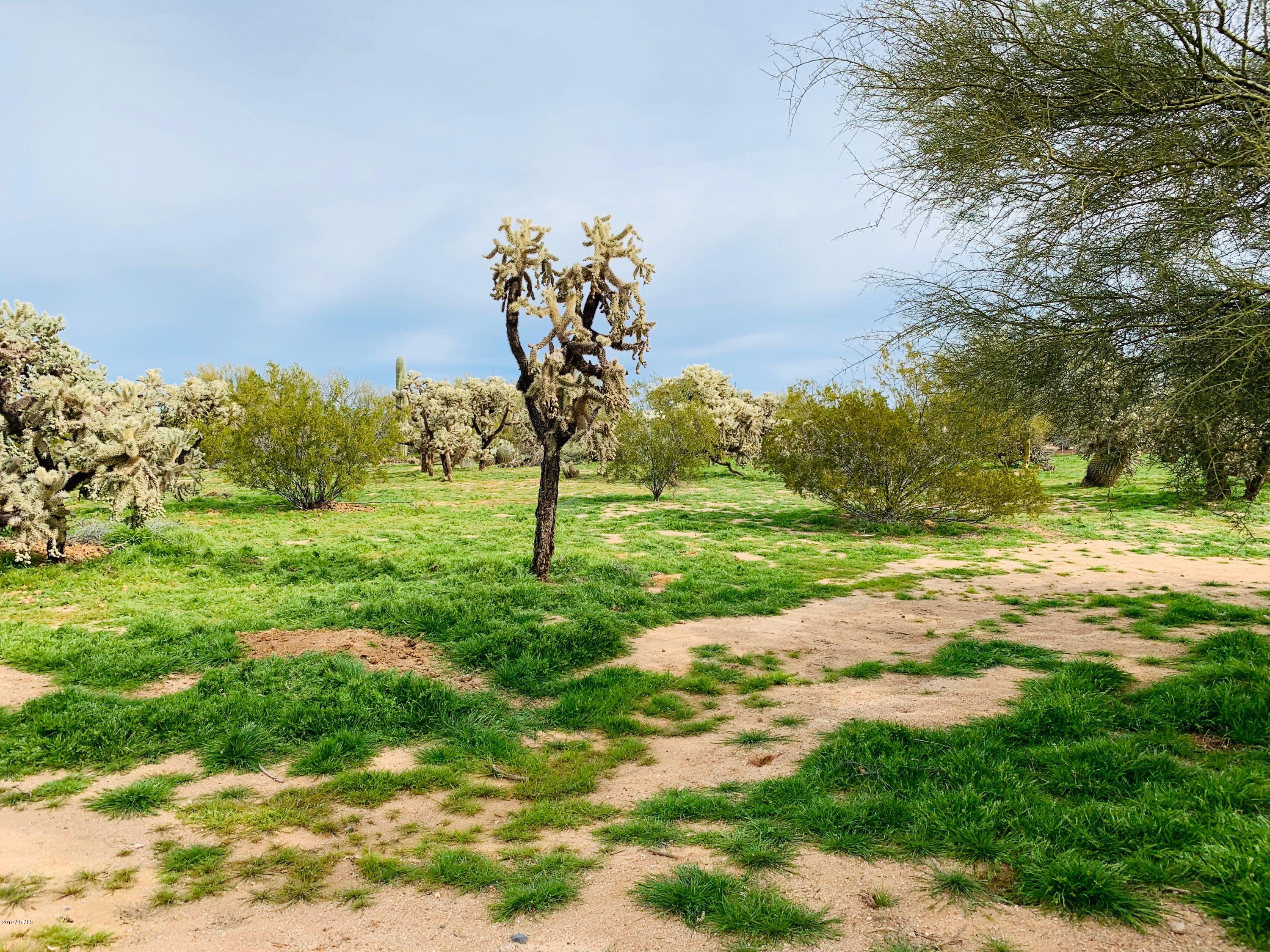 23610 East Cholla Road Florence, AZ 85132 - Photo 54 of 55 IMG_0722
