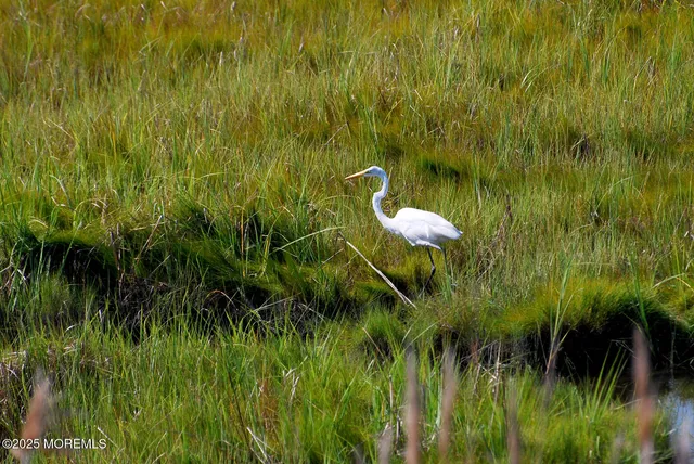 $1,425,000 | 124 St Lawrence Boulevard, Brick, NJ 08723