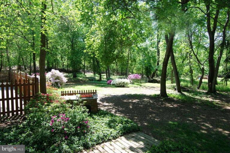 1907 Ridgewood Road Hanover, MD 21076 - Photo 10 of 30 a view of a park with large trees