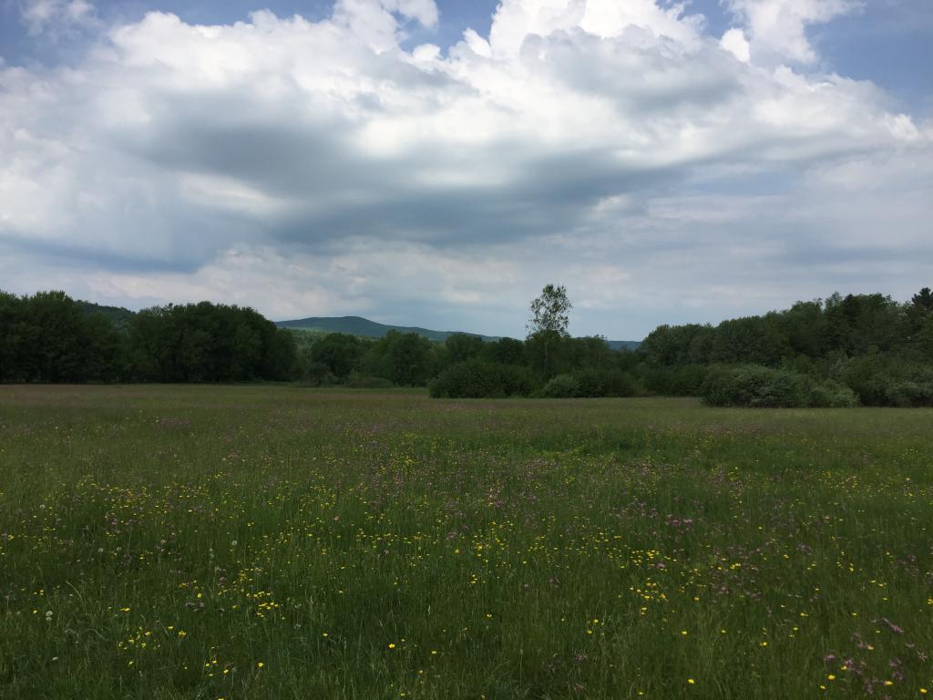 64 River Road Troy, VT 05859 - Photo 22 of 24 Gallery Image 22