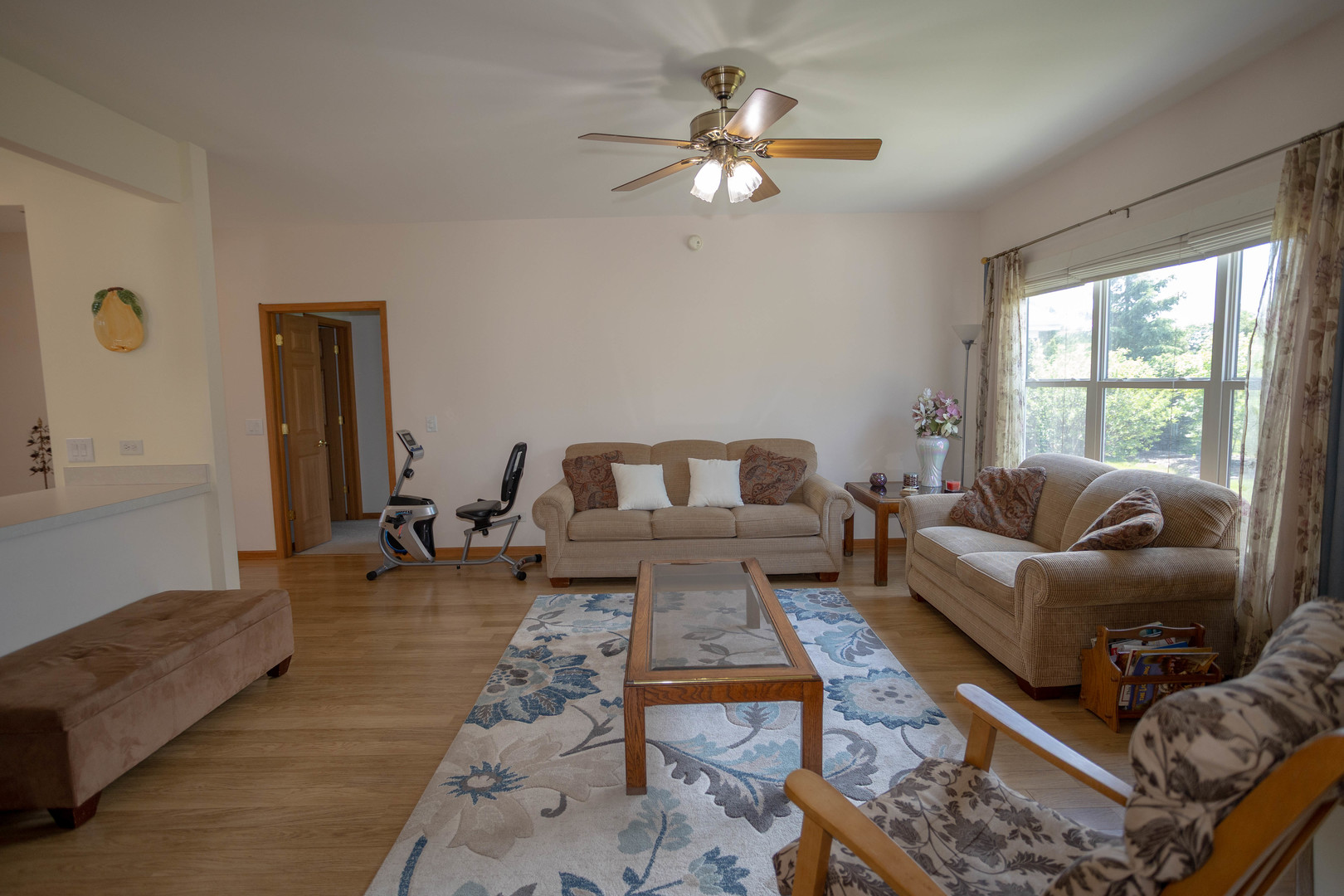 212 Rodeo Drive, Unit 2179 Grayslake, IL 60030 - Photo 17 of 31 a living room with furniture a rug and a window