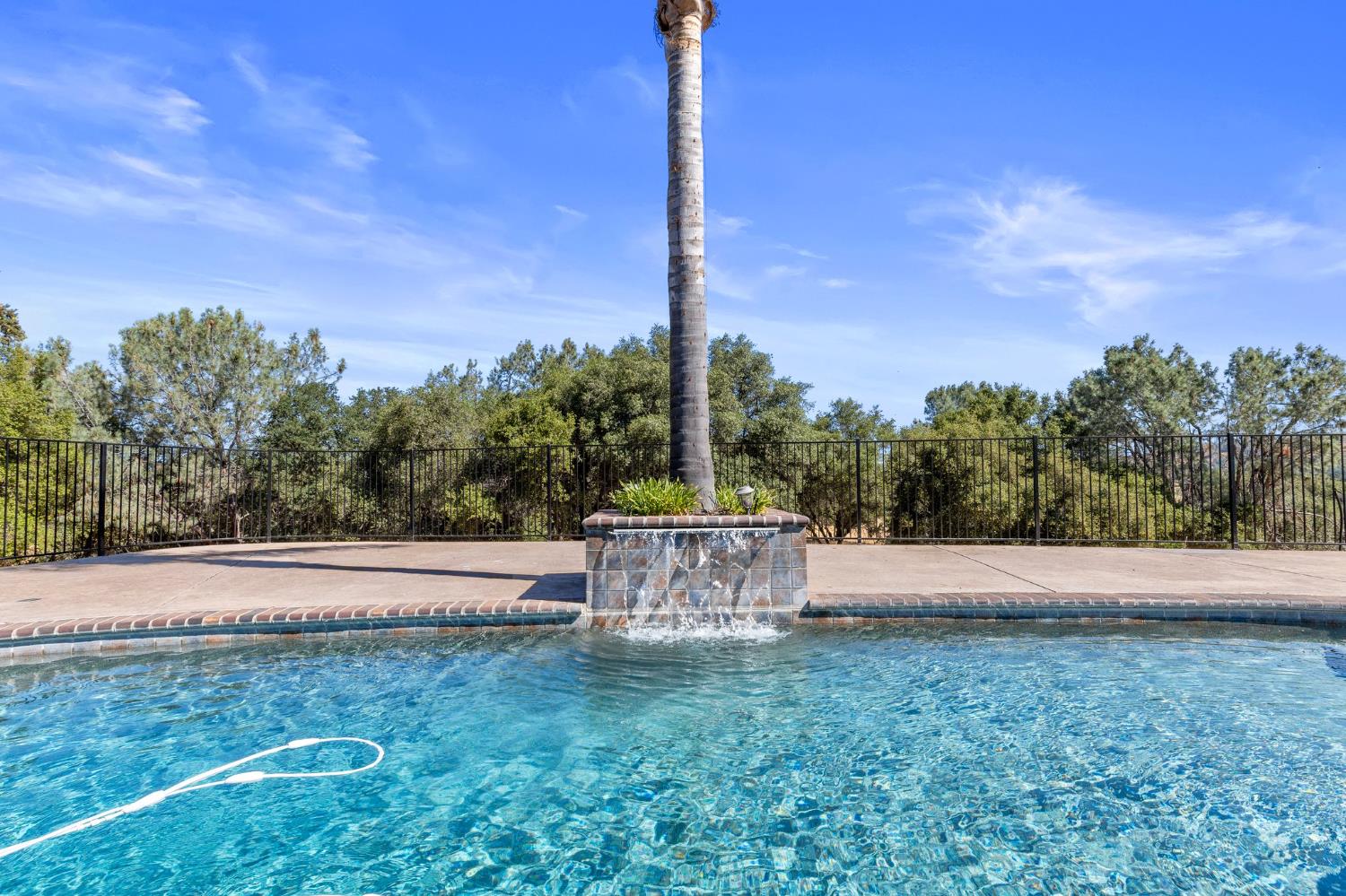 20160 Latrobe Road Plymouth, CA 95669 - Photo 29 of 37 a view of a yard