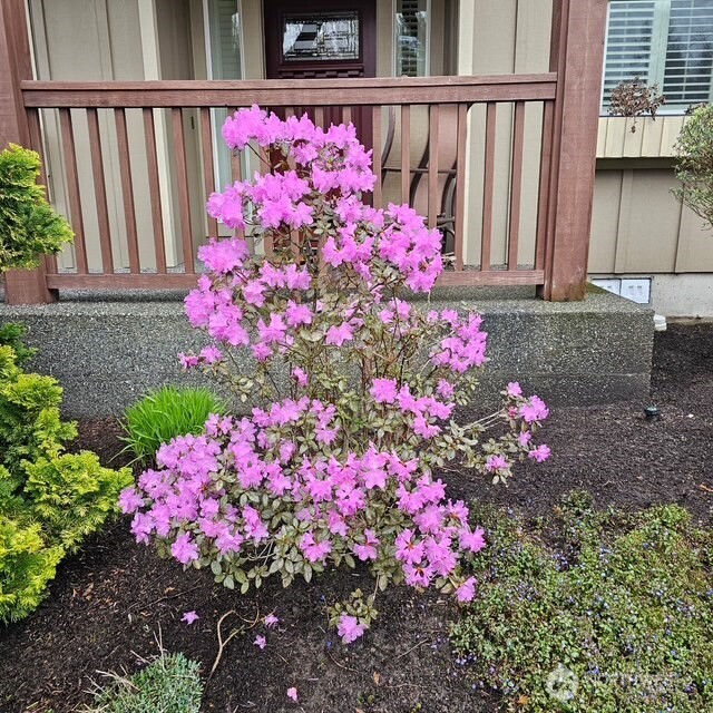506 Timberland Loop Mount Vernon, WA 98273 - Photo 2 of 38 Gallery Image 2