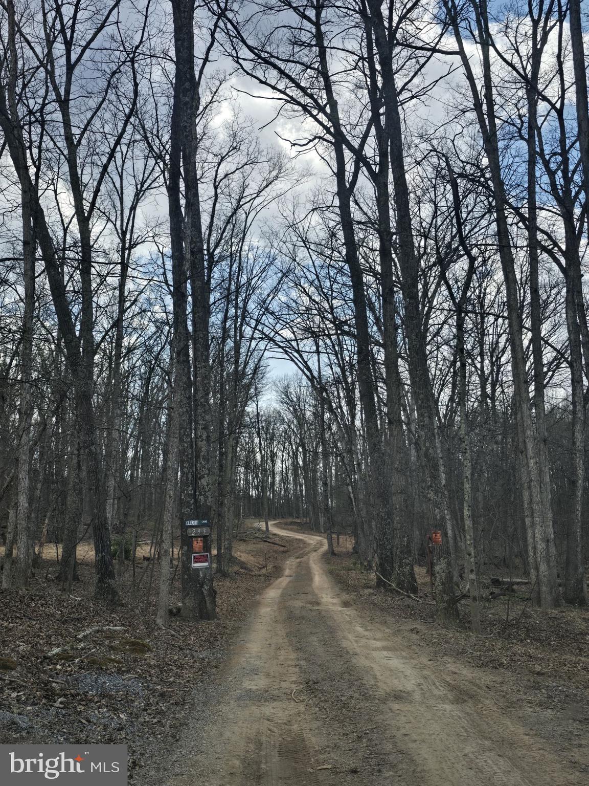 293 Elliot Lane High View, WV 26808 - Photo 2 of 37
