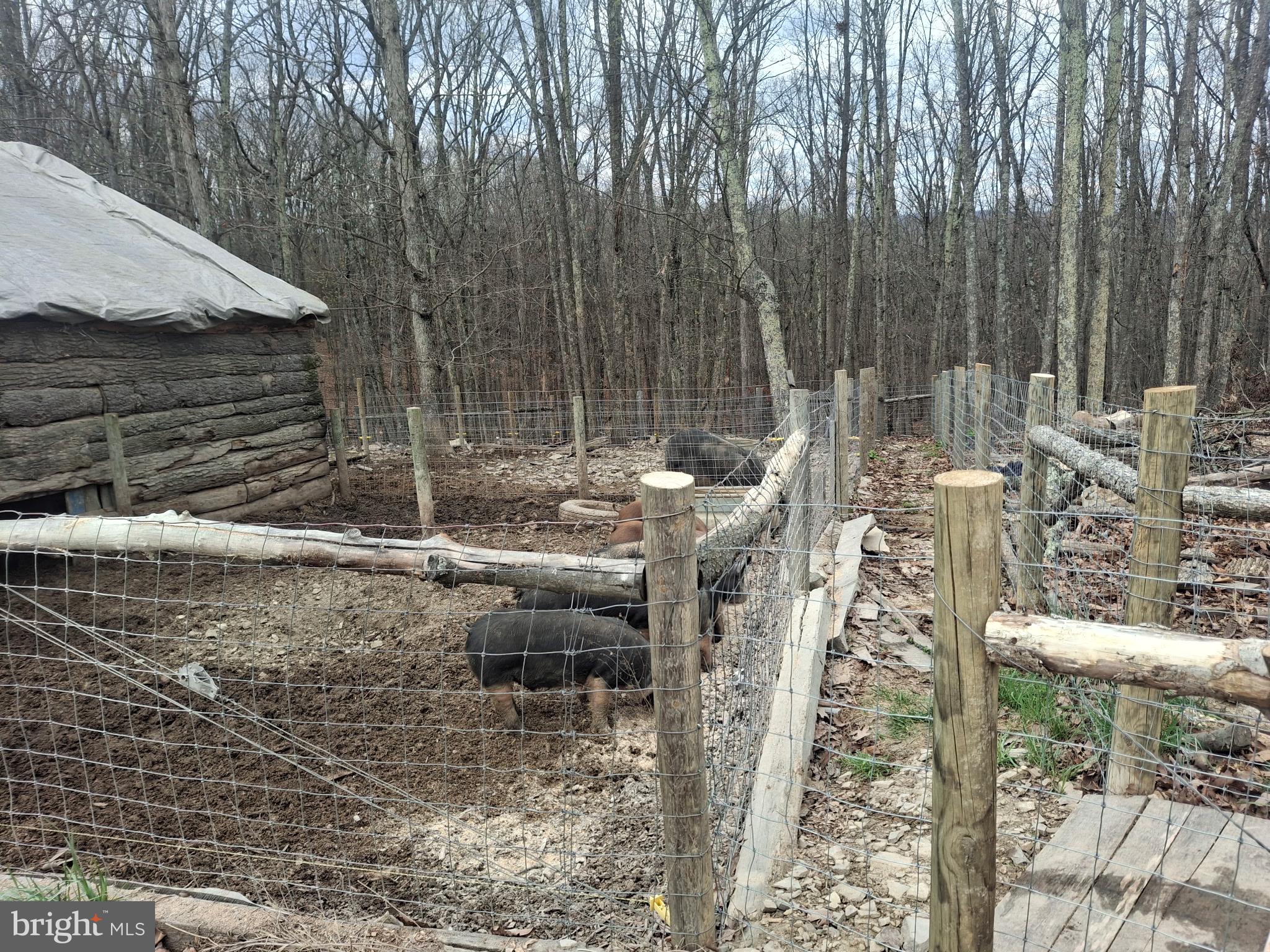 293 Elliot Lane High View, WV 26808 - Photo 35 of 37