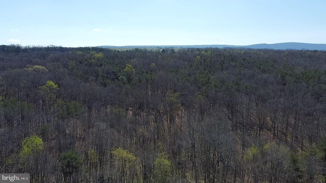 293 Elliot Lane High View, WV 26808 - Photo 5 of 37