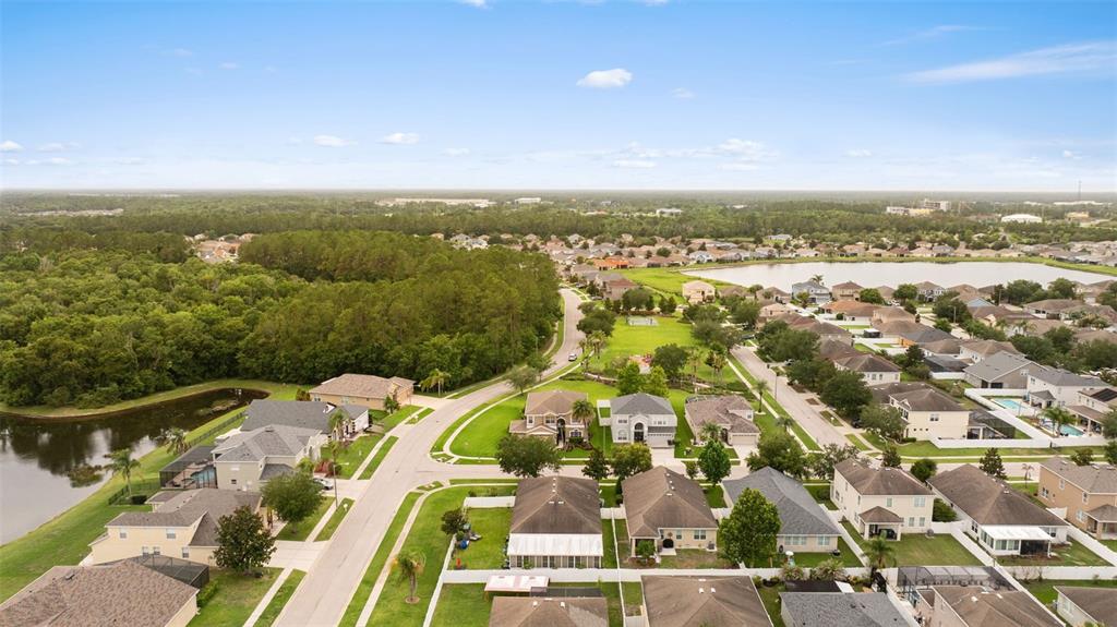 7627 Rathdown Lane Wesley Chapel, FL 33545 - Photo 41 of 57
