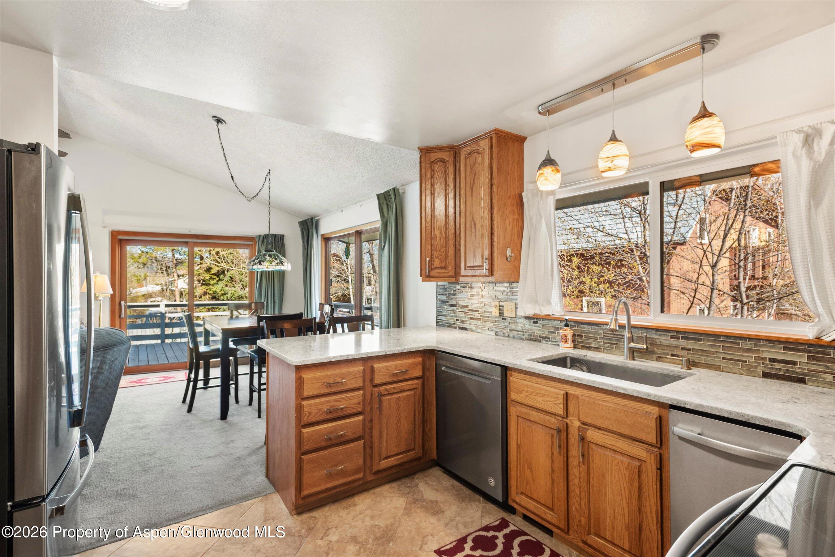 53 Spruce Street, Unit S 1 AND 2 Aspen, CO 81611 - Photo 14 of 67 13-13-534SpruceSt_250429013