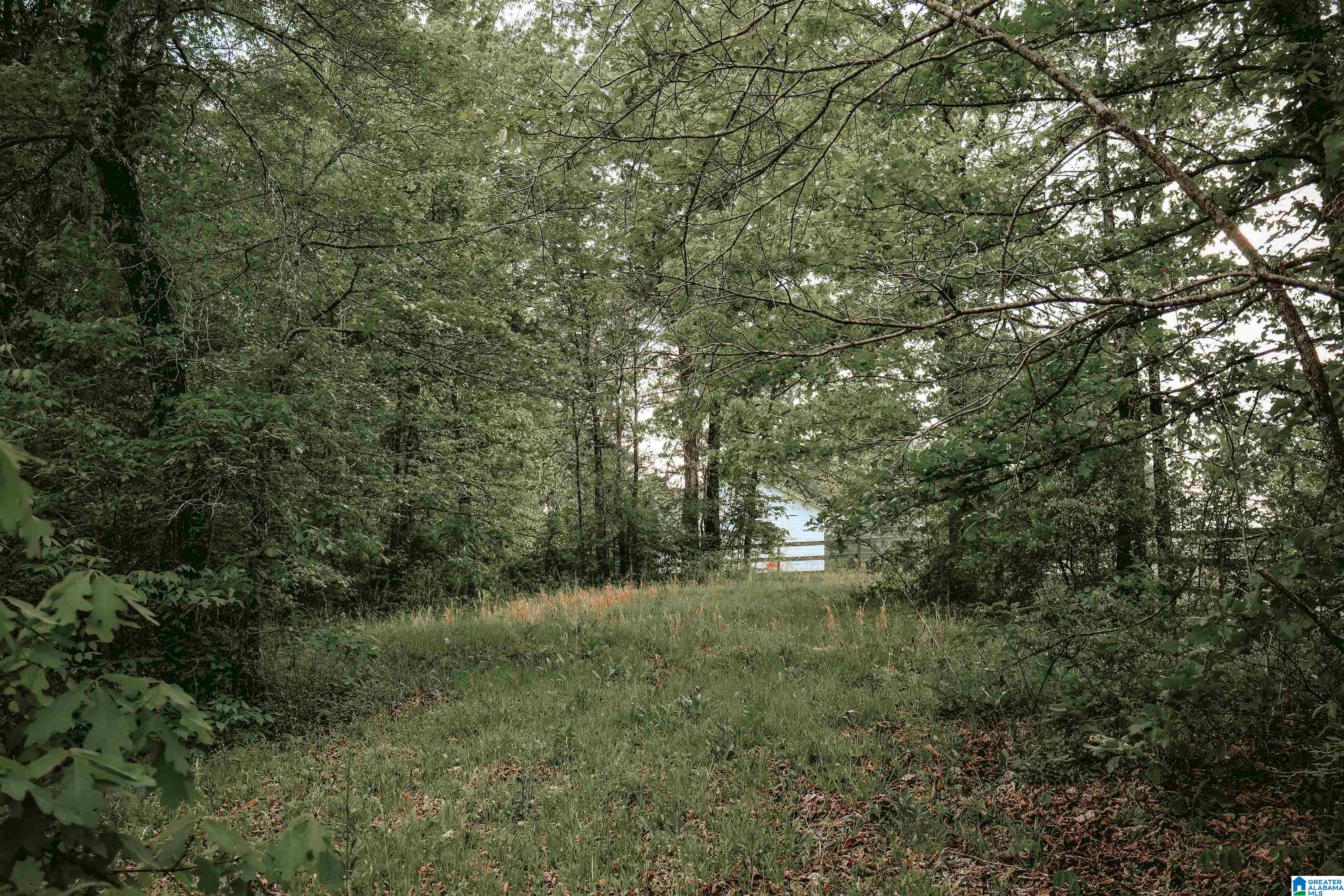 1678 Hays Cemetery Road Hayden, AL 35079 - Photo 76 of 87
