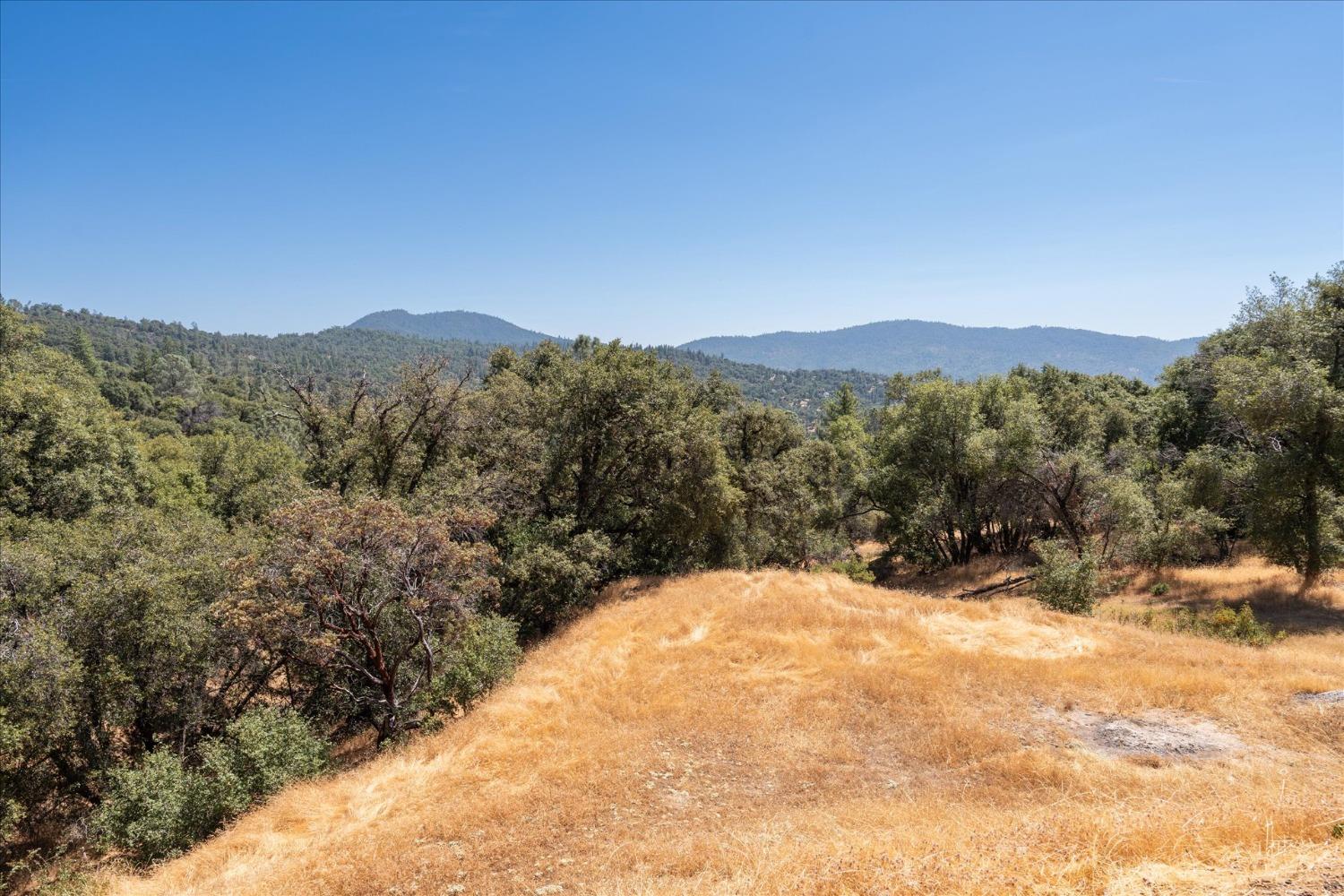 41175 Jean Road West Oakhurst, CA 93644 - Photo 43 of 43 a view of a dry yard with mountains in the background