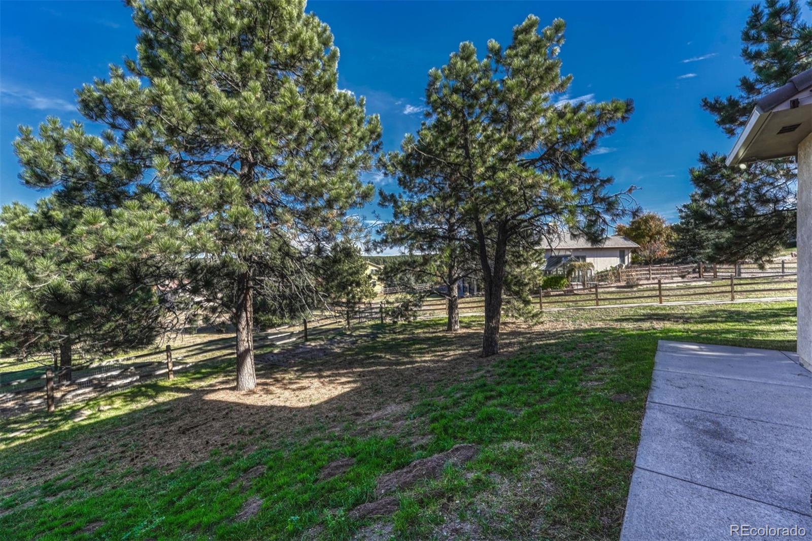 17870 New London Road Monument, CO 80132 - Photo 44 of 44 a view of a park with large trees