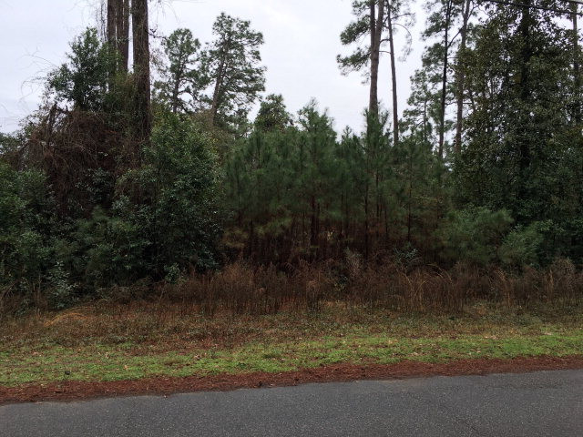 0 Dibble Road Aiken, SC 29801 - Photo 1 of 1