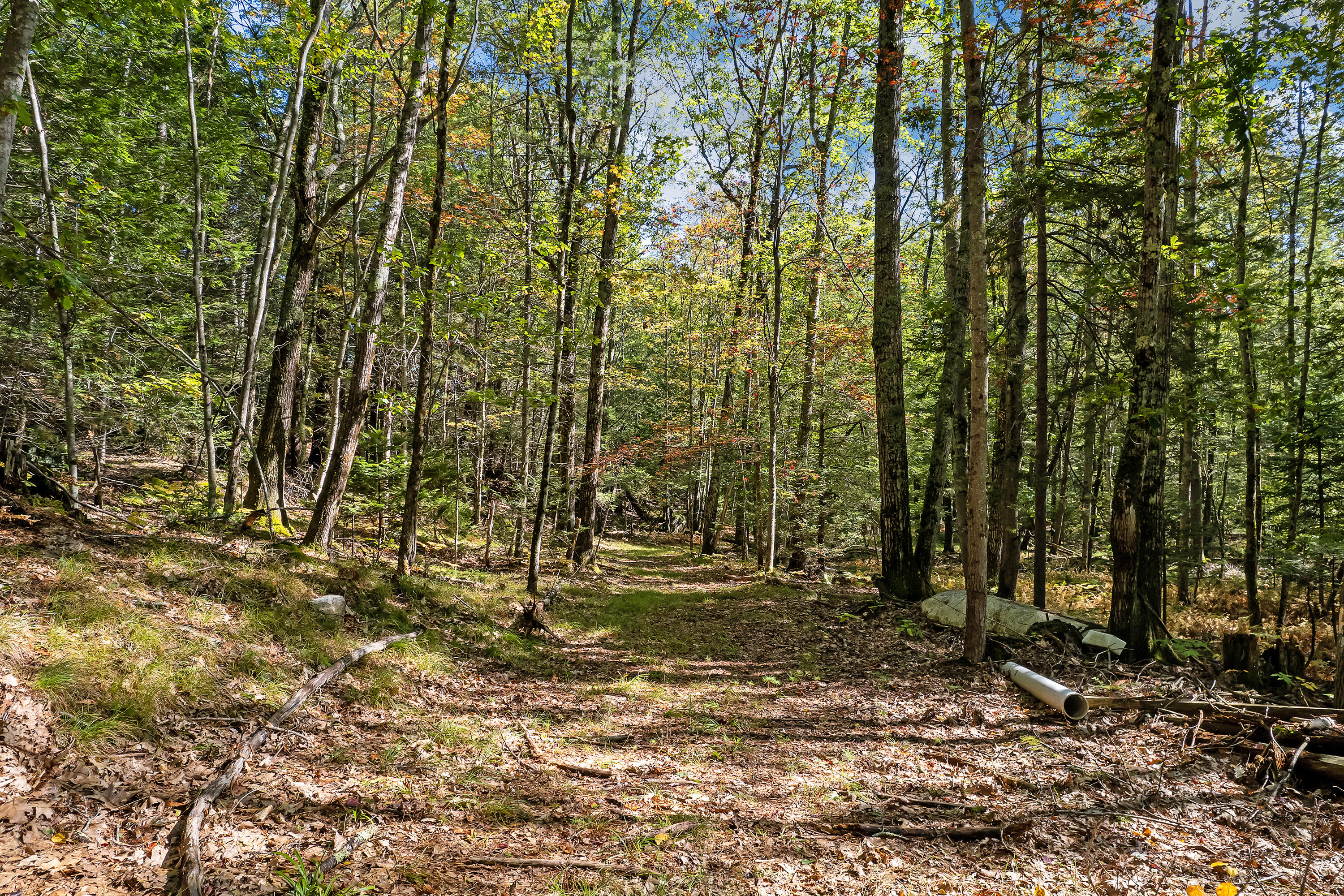 847 Middlesex Road Topsham, ME 04086 - Photo 56 of 63 847 Middlesex Rd_211