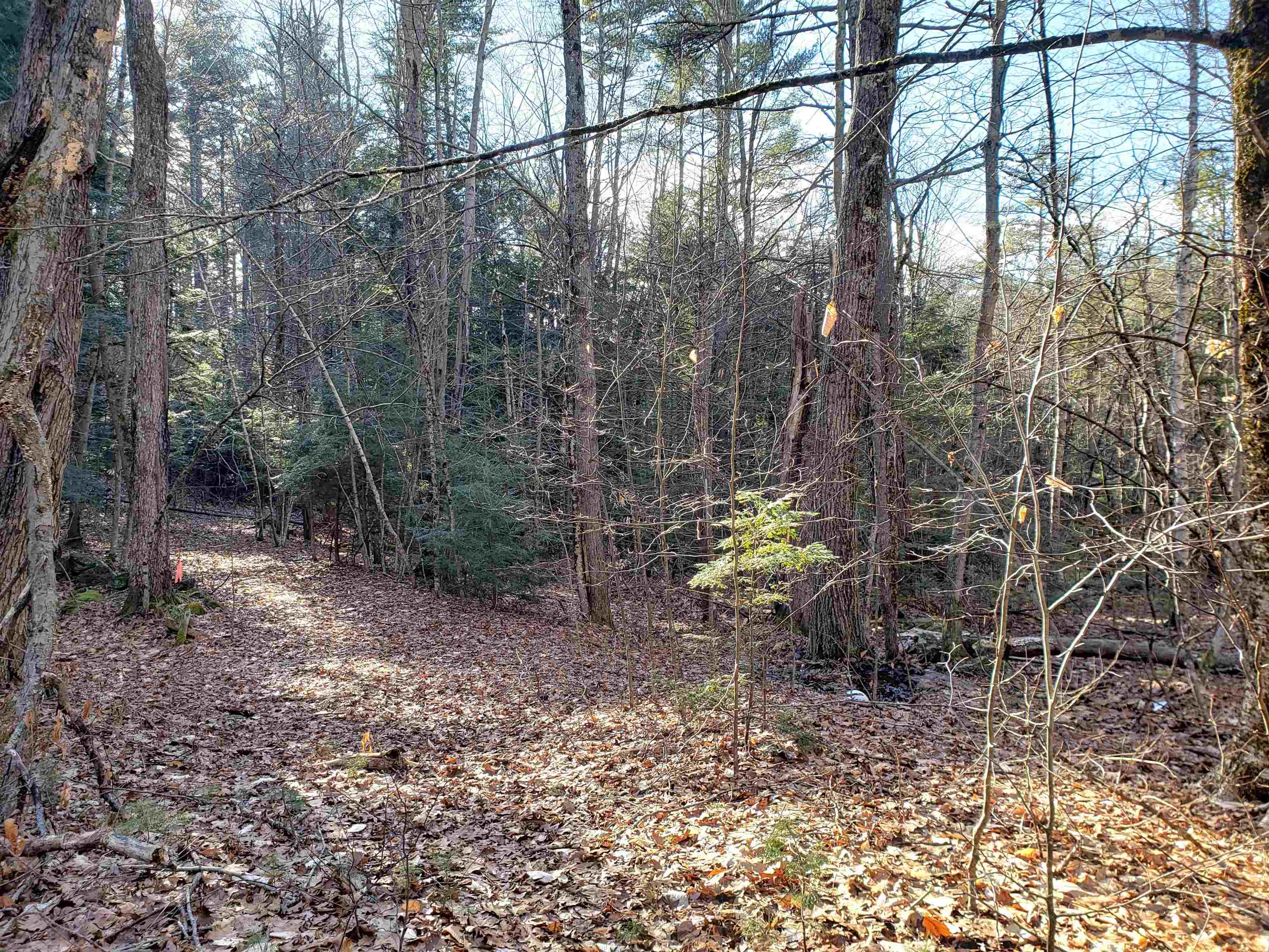 Lot 5 Tilton Hill Road Pittsfield, NH 03263 - Photo 1 of 9 Gallery Image 1