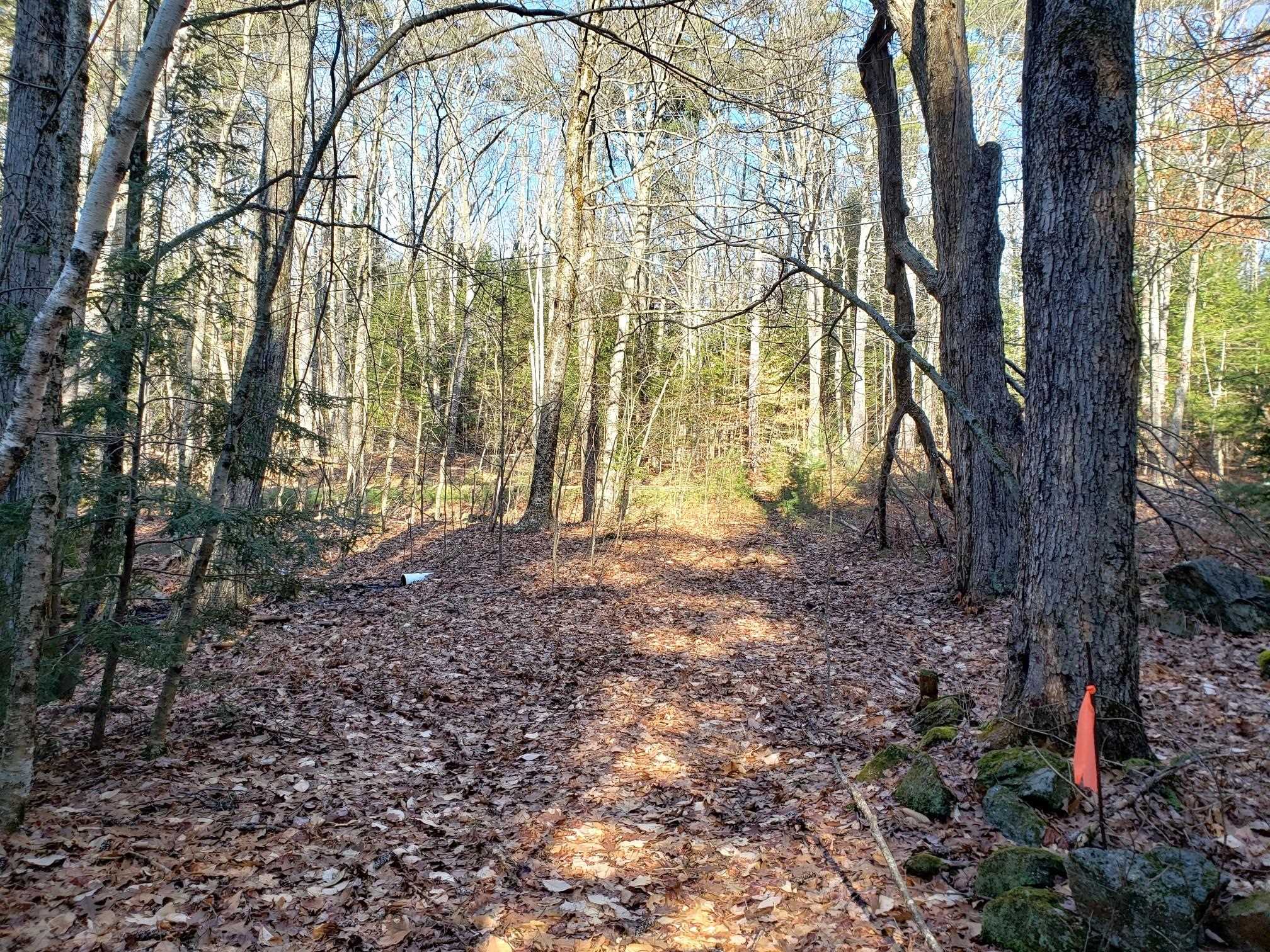 Lot 5 Tilton Hill Road Pittsfield, NH 03263 - Photo 2 of 9 Gallery Image 2
