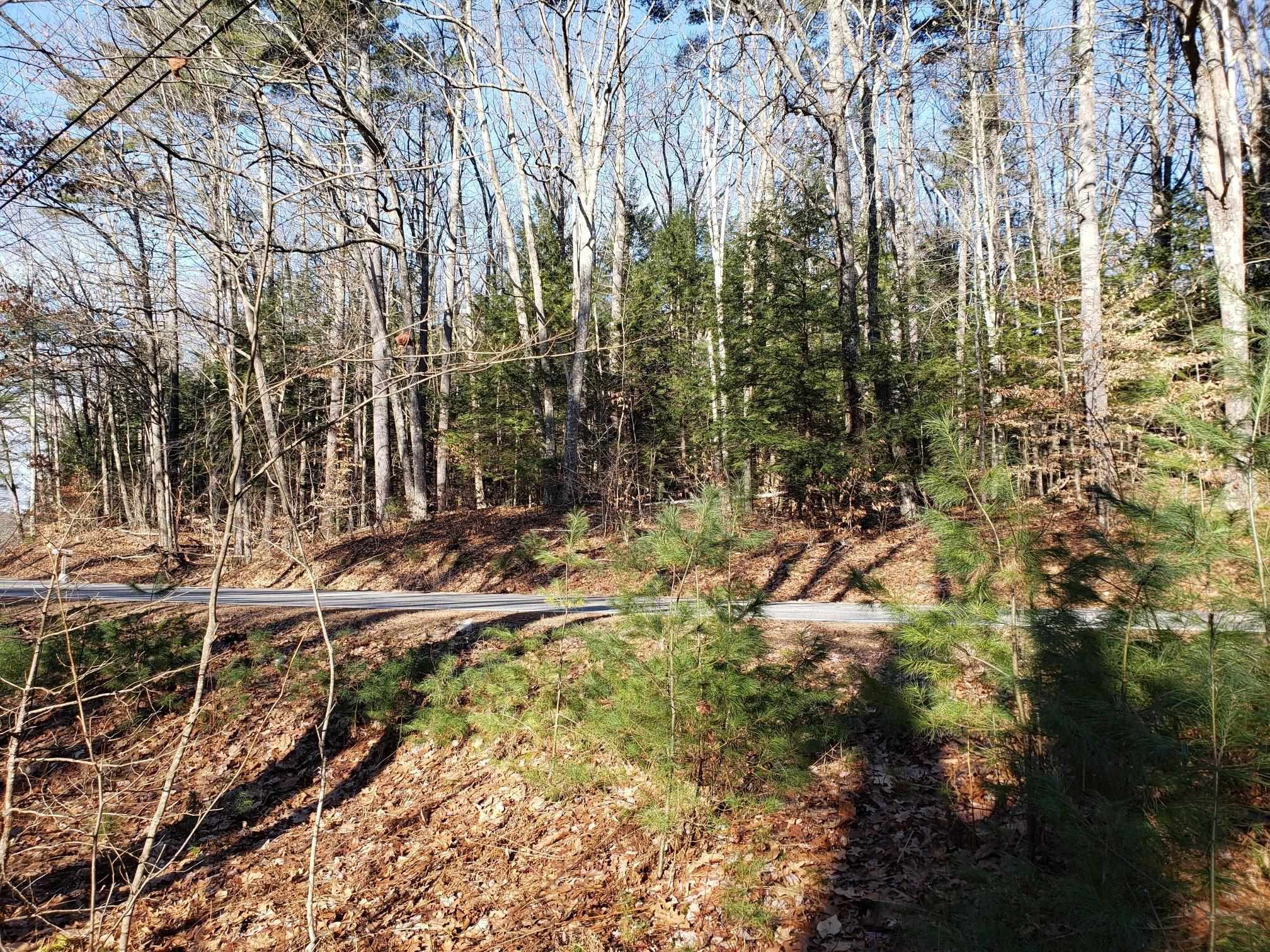 Lot 5 Tilton Hill Road Pittsfield, NH 03263 - Photo 3 of 9 Gallery Image 3