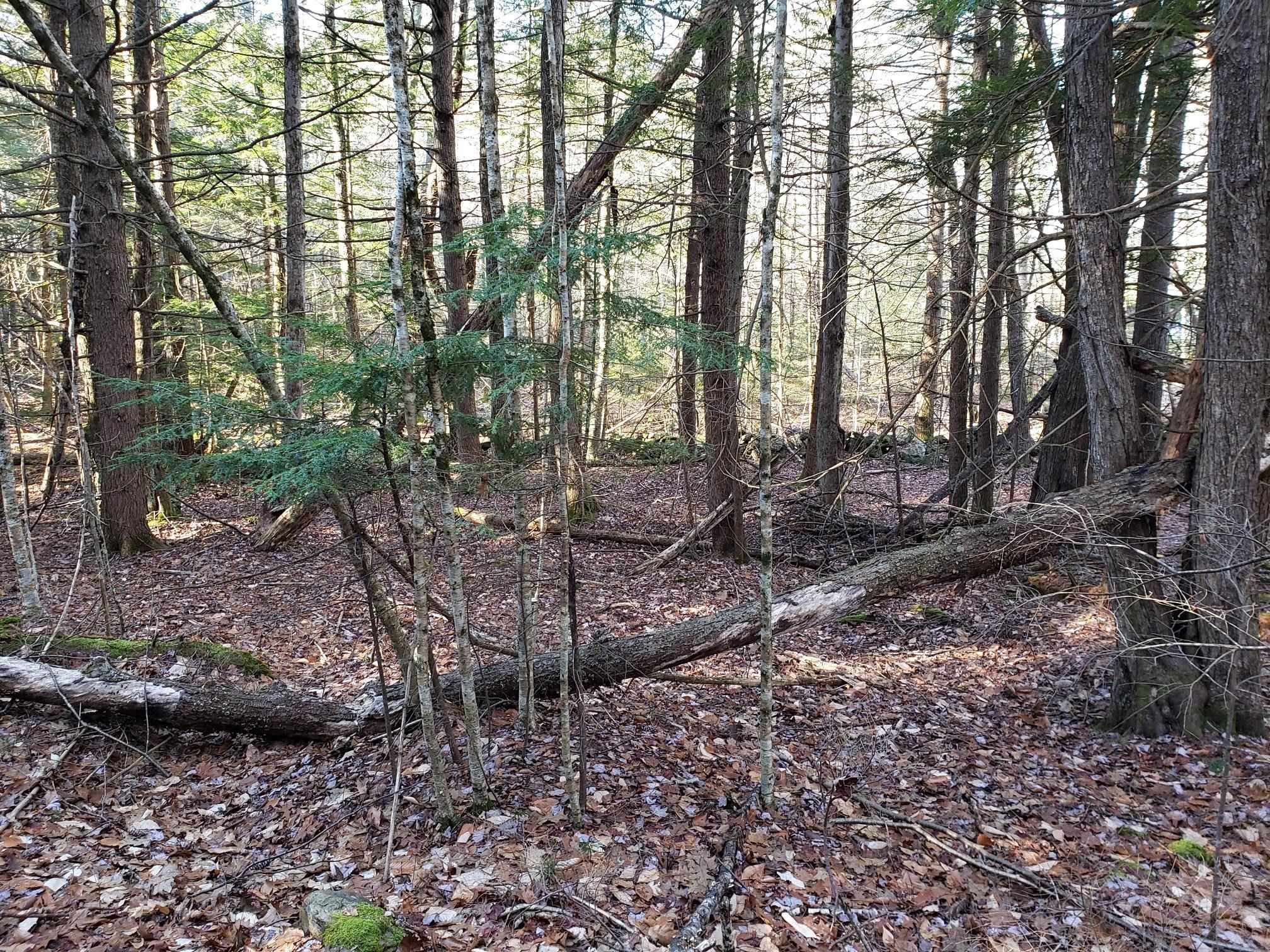 Lot 5 Tilton Hill Road Pittsfield, NH 03263 - Photo 8 of 9 Gallery Image 8