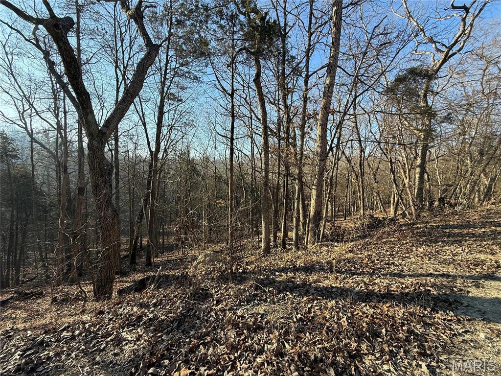 0 Lot 21 Timber Ridge Estates Pacific, MO 63069 - Photo 3 of 8