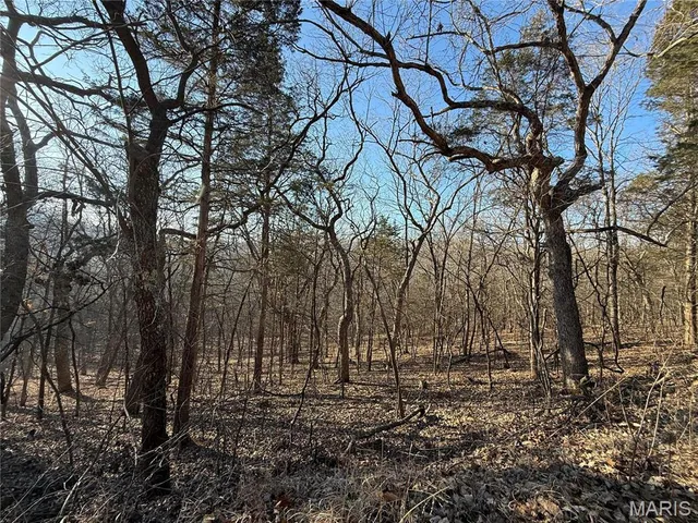 $30,000 | 0 Lot 21 Timber Ridge Estates, Pacific, MO 63069