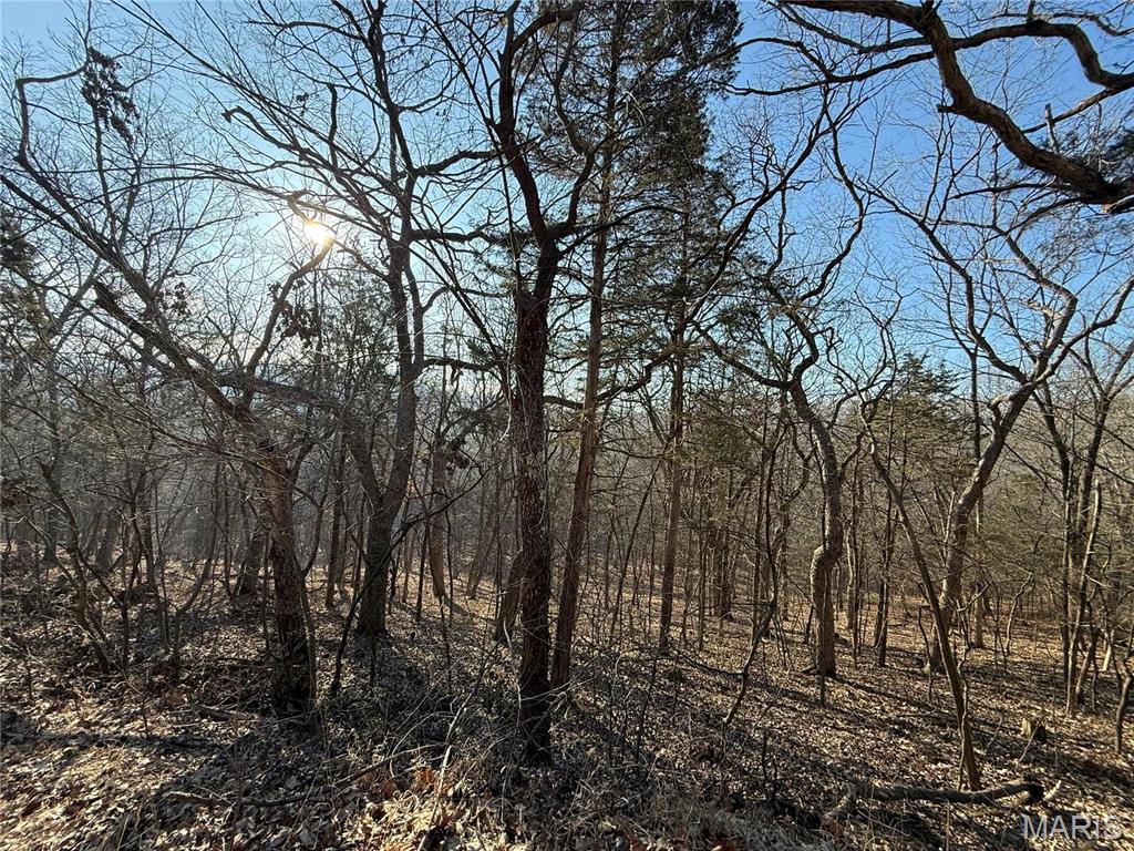 0 Lot 21 Timber Ridge Estates Pacific, MO 63069 - Photo 6 of 8