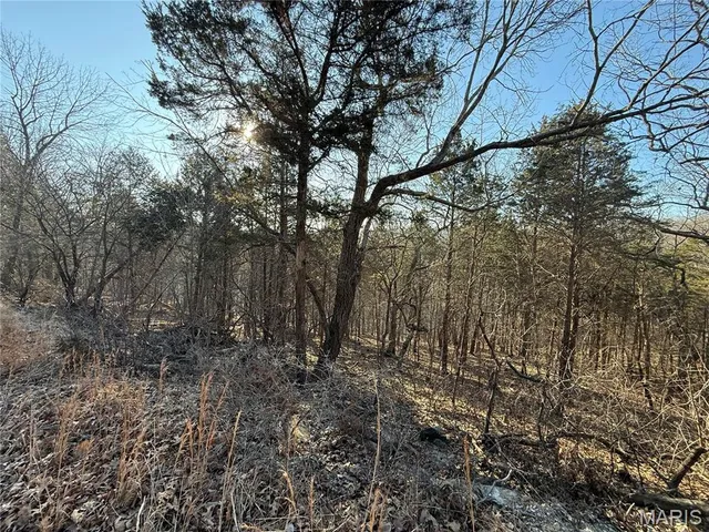 $30,000 | 0 Lot 21 Timber Ridge Estates, Pacific, MO 63069