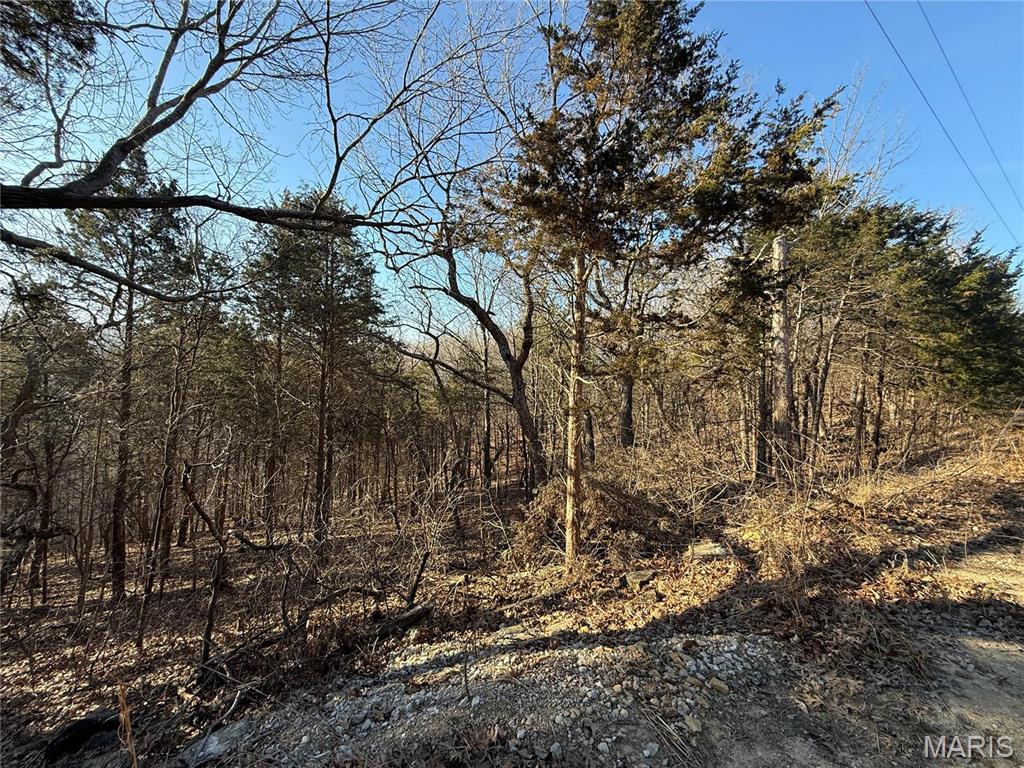 0 Lot 21 Timber Ridge Estates Pacific, MO 63069 - Photo 8 of 8