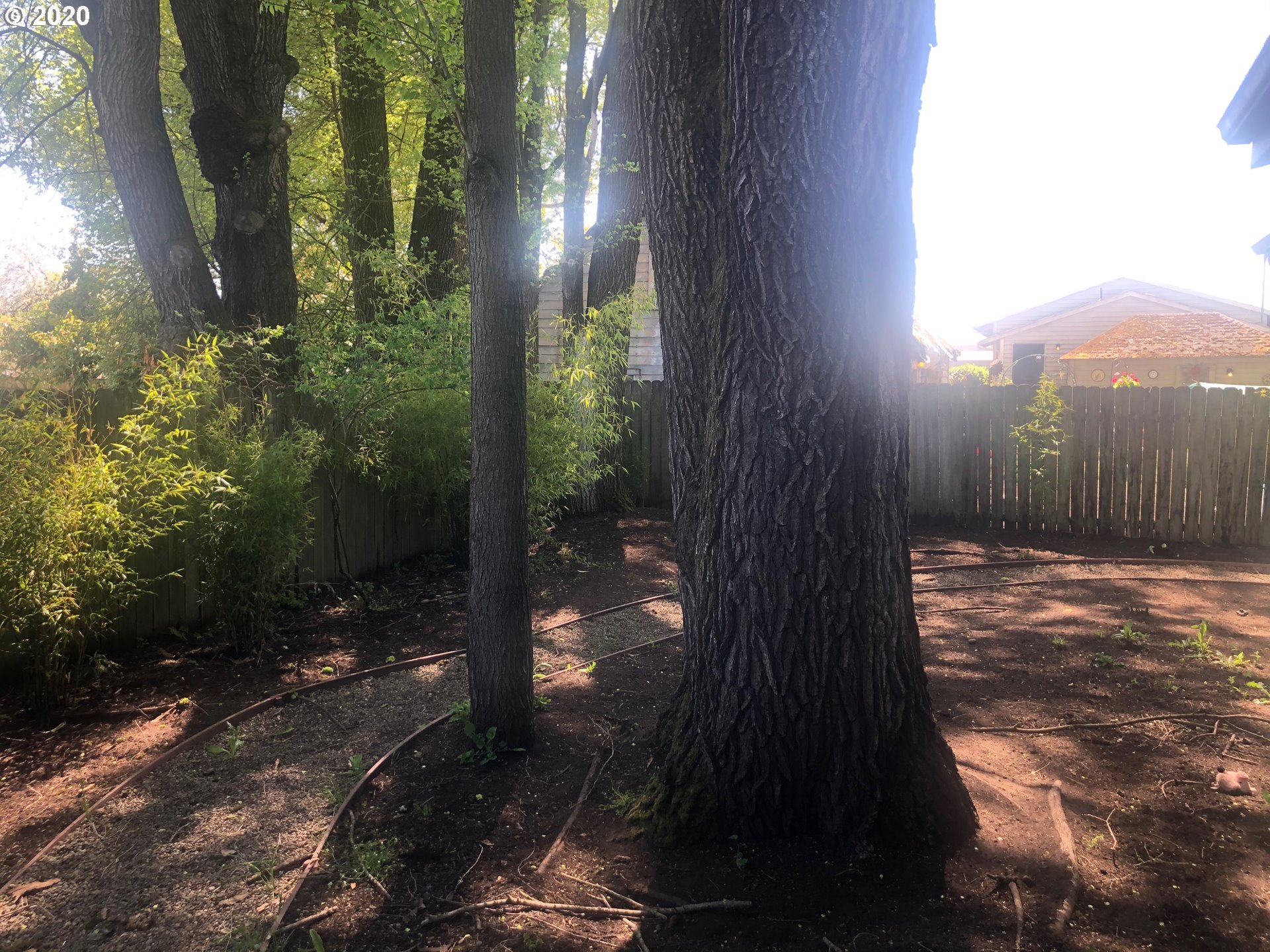 362 North Seneca Road Eugene, OR 97402 - Photo 15 of 15 Gallery Image 15