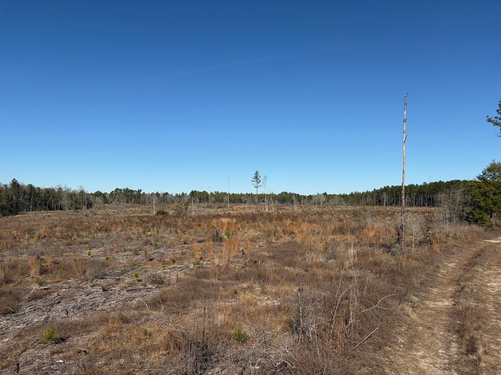 87 Samson Al Samson, AL 36477 - Photo 11 of 22 Parcel "F" north view 2