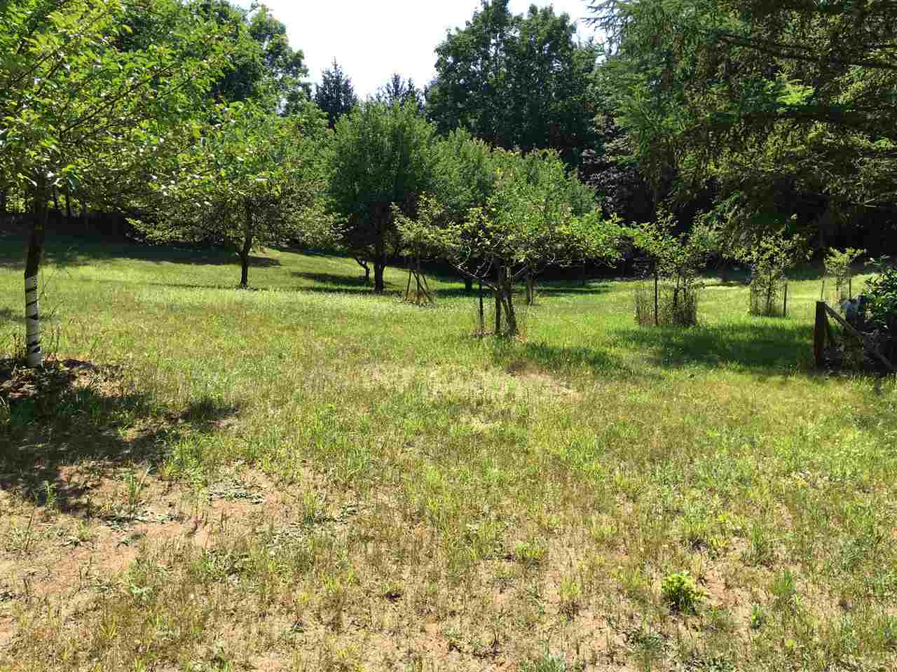 3136 Herron Road Frankfort, MI 49635 - Photo 27 of 53 1828563-26.JPG