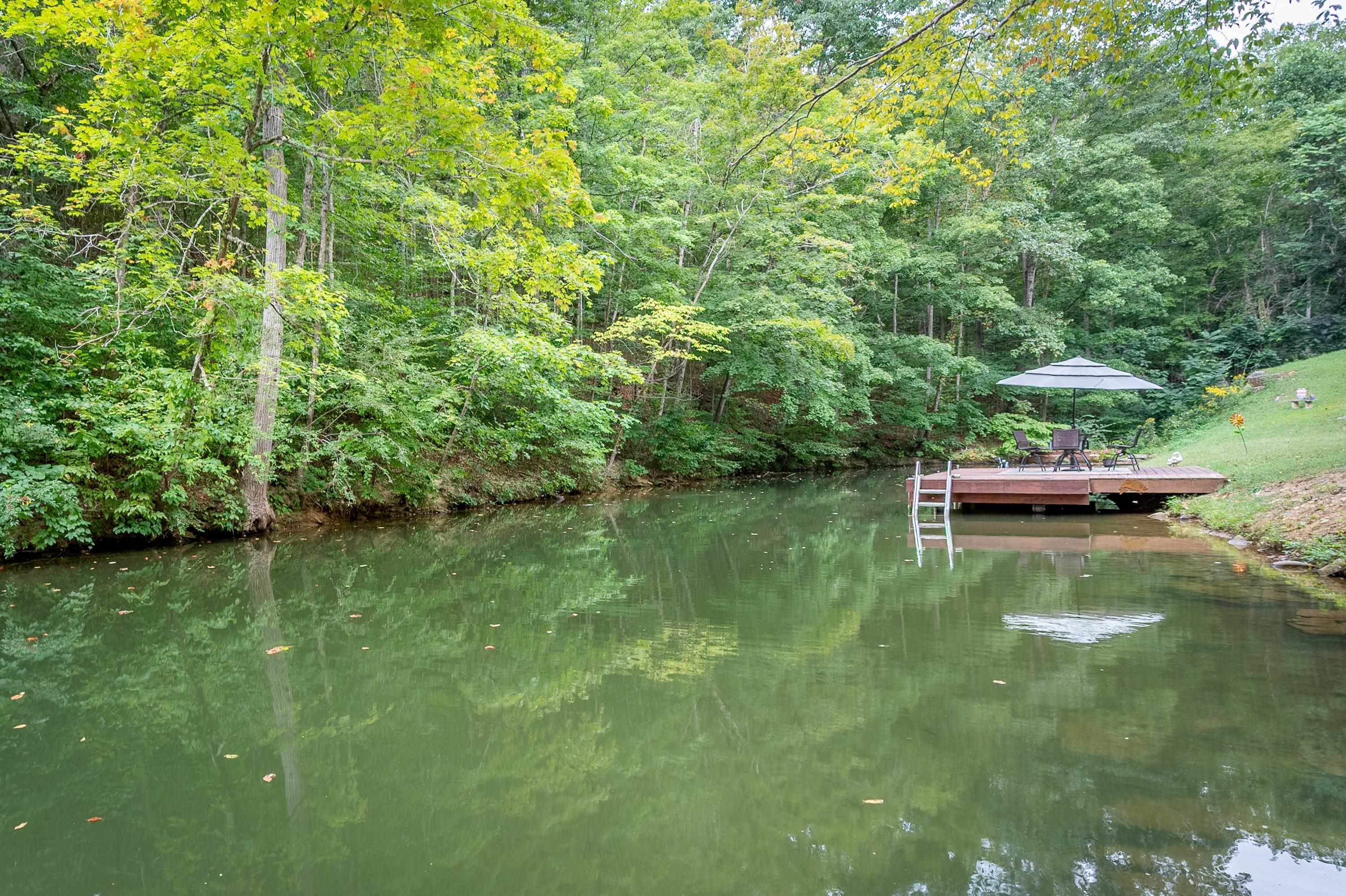 6007 Thornton Road Dublin, VA 24084 - Photo 49 of 105 Gallery Image 49